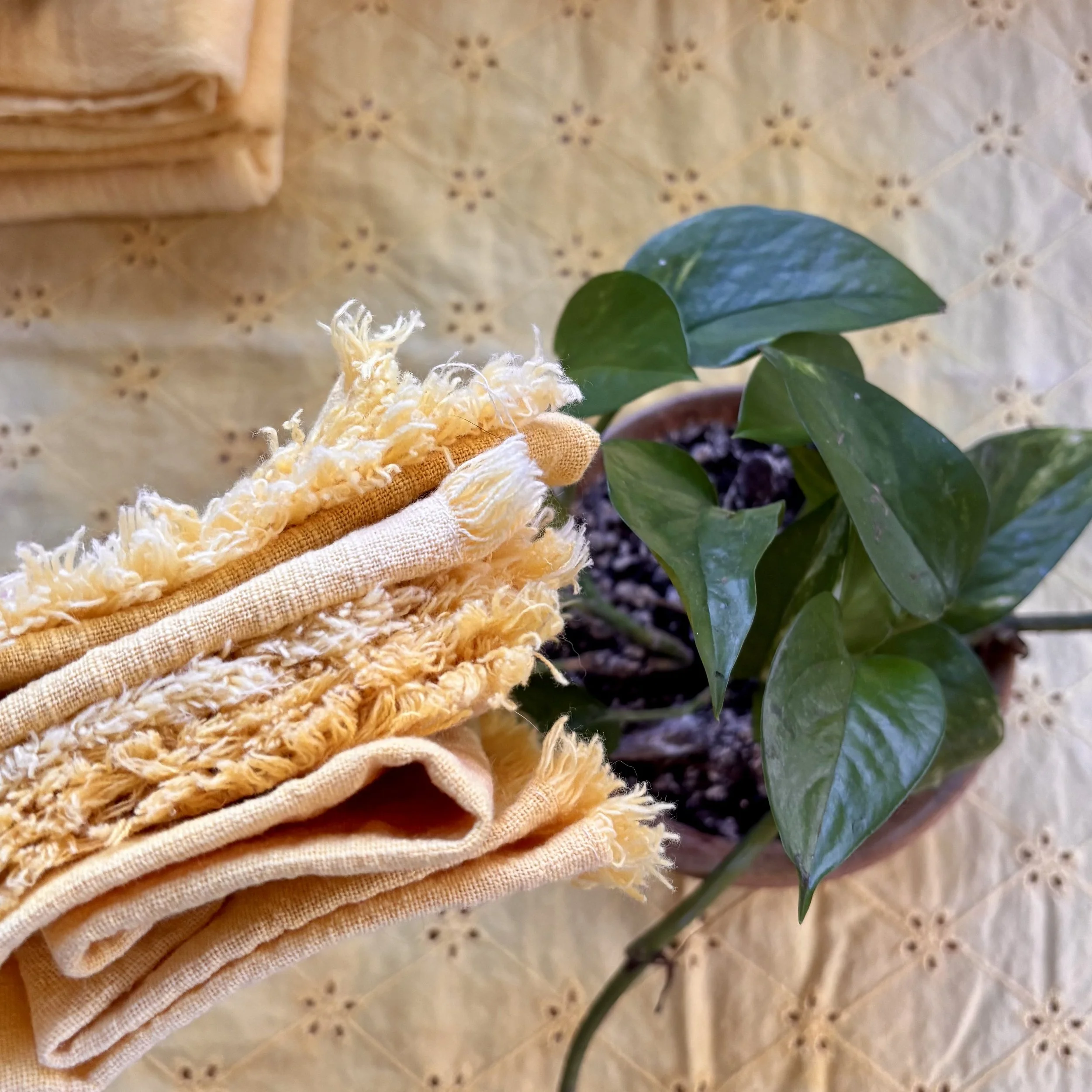 Turmeric-Dyed Fringed Cotton Dinner Napkins