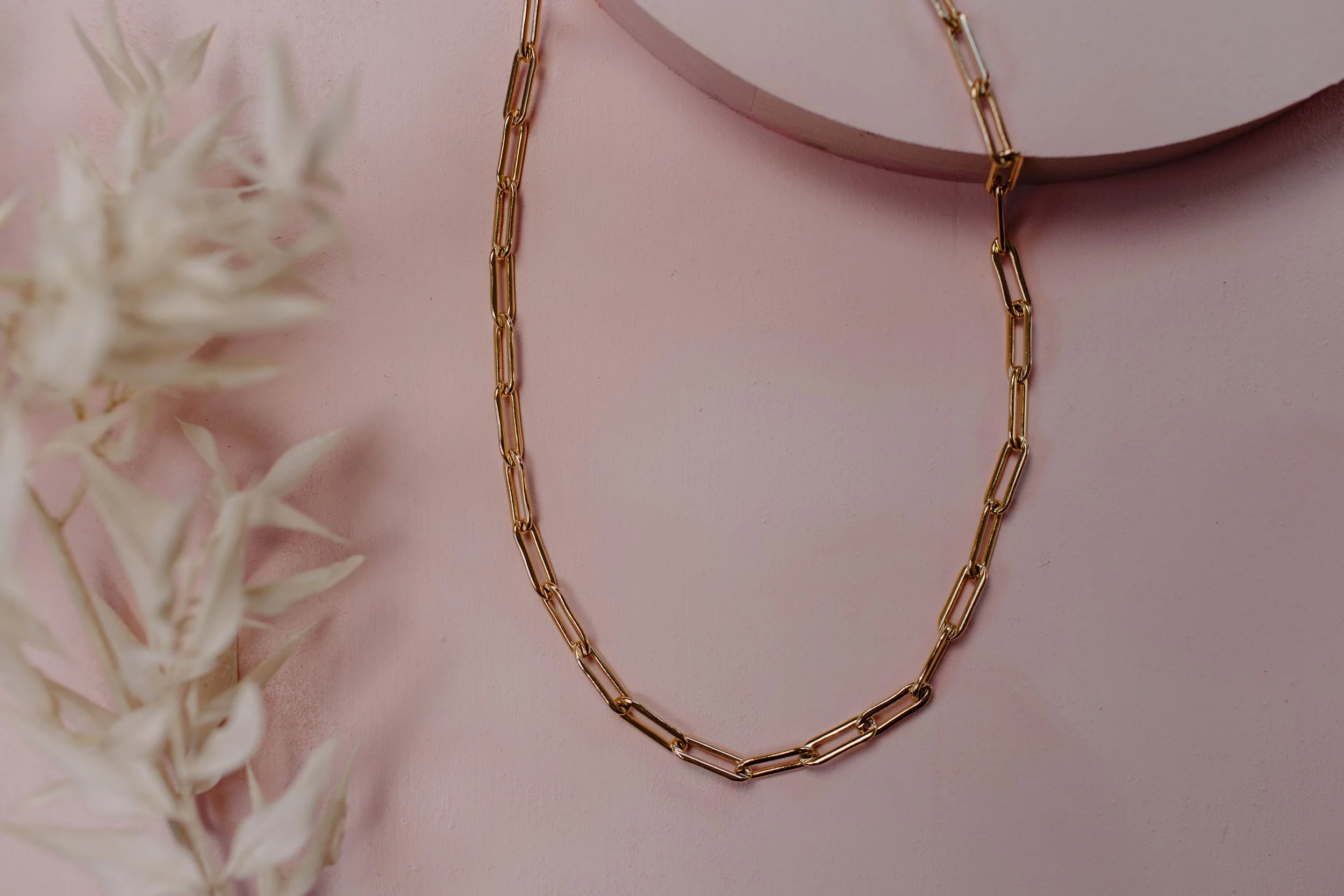 View Product Photography for True Bird Co.