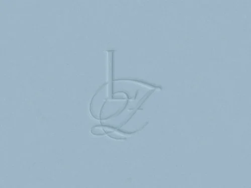 LZ Remodels Logo 8.jpg