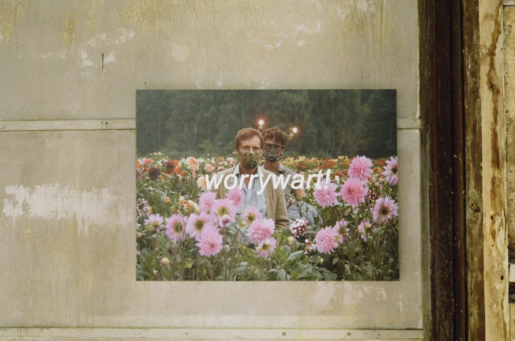 C24B5BA3-EB57-4306-A5F5-43732B6FCEF0_1_102_a.jpeg
