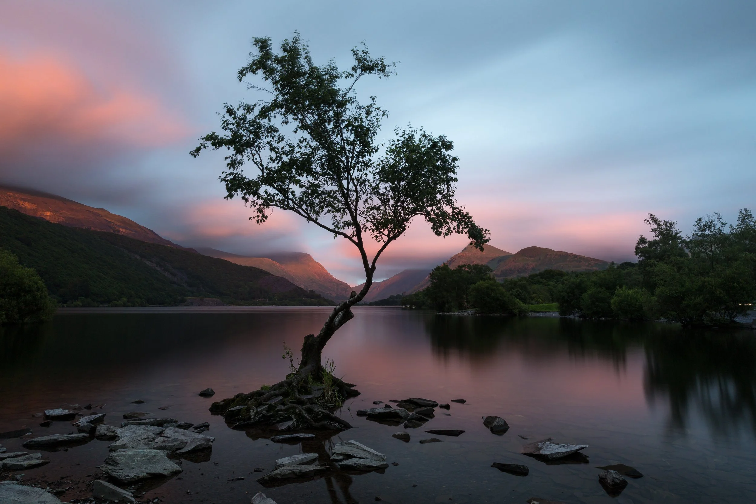 IMG_2016_01428_Sunset over Llyn Padarn's famous tree.jpg