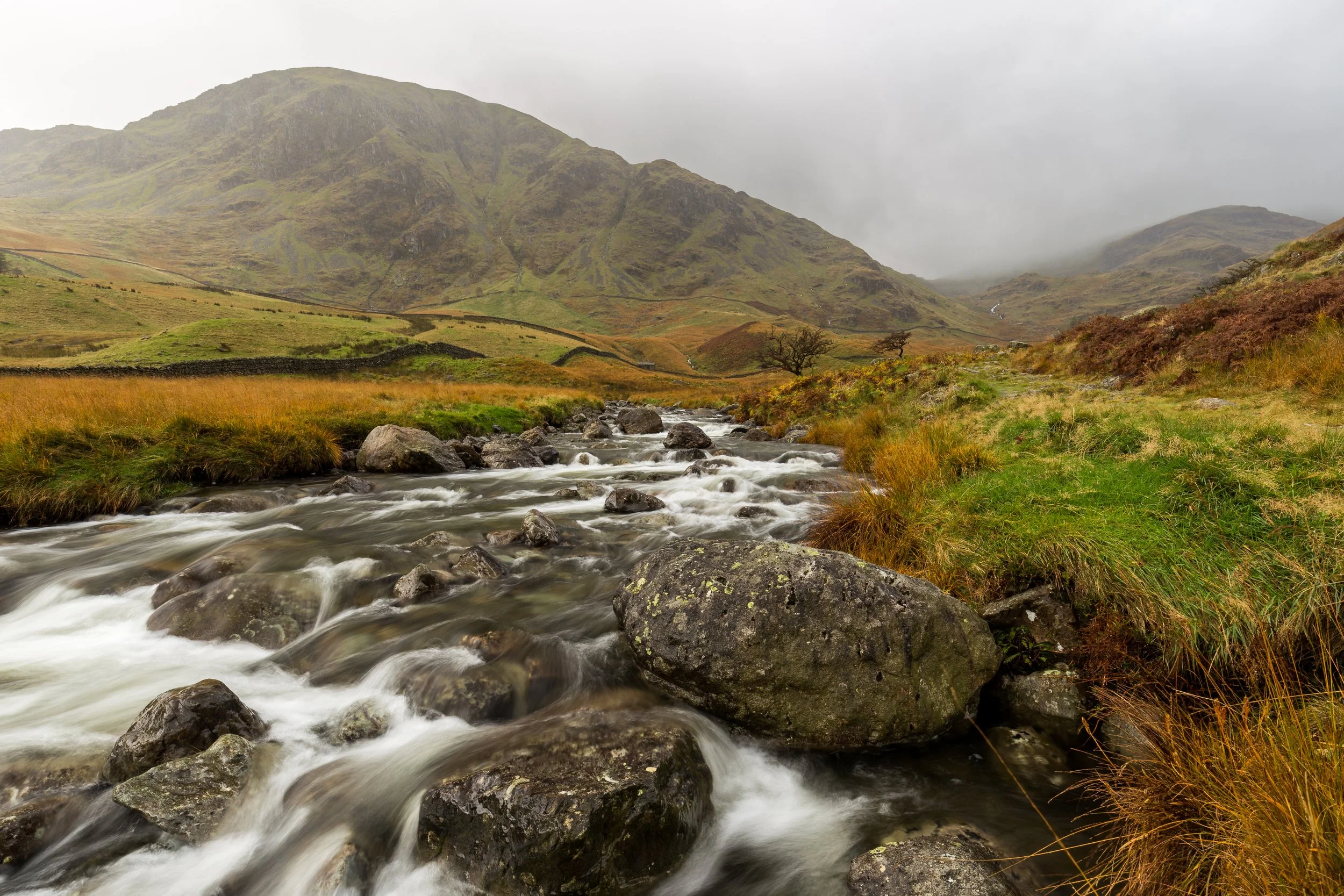 IMG_2016_02696-Edit_Mardale Beck.jpg