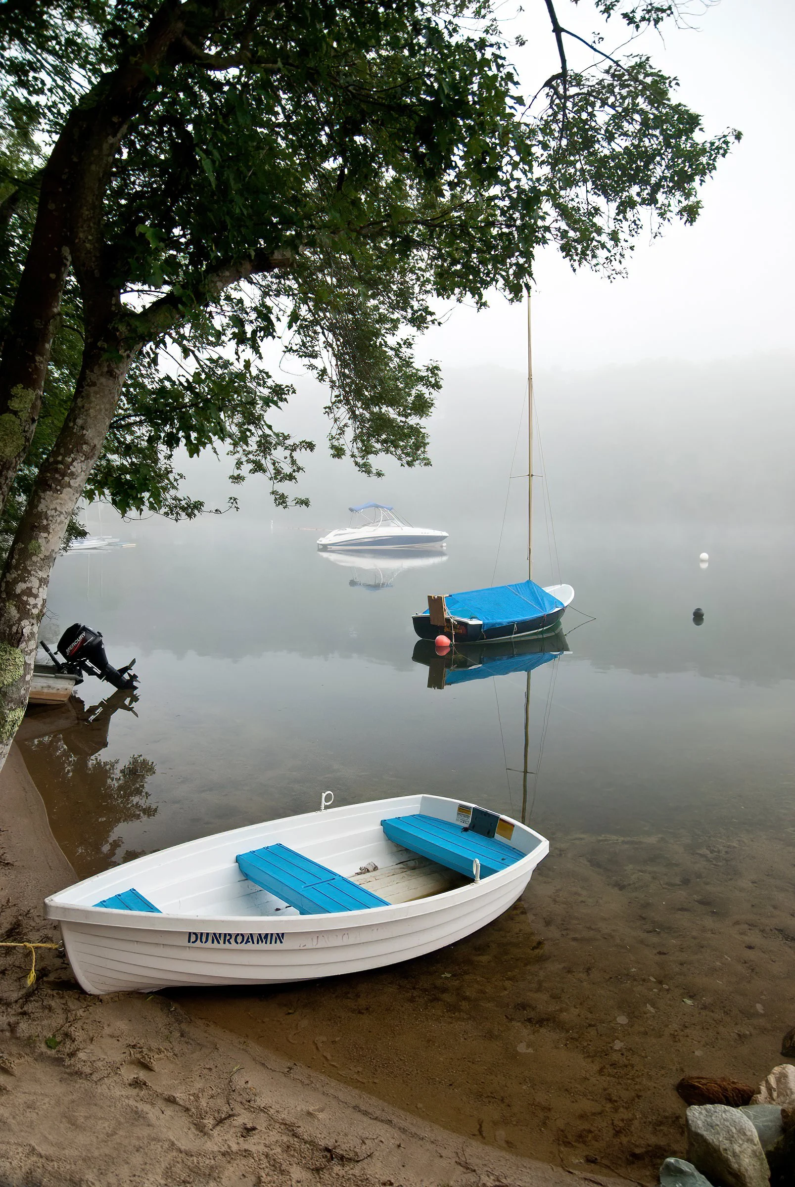 Vacation Pond - Lee Fortier.jpg