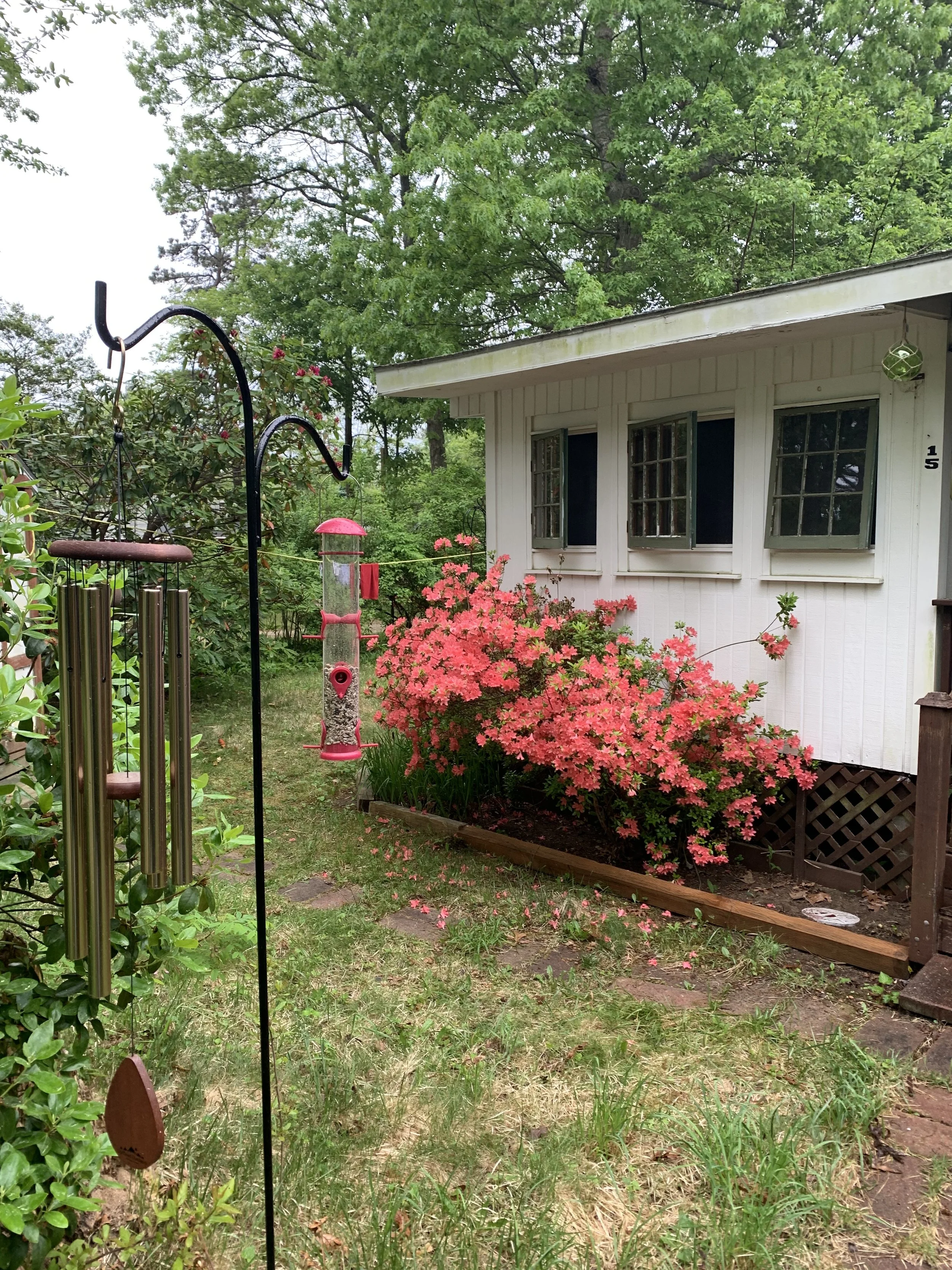 IMG_1004 - Hilliary Kramer.jpeg