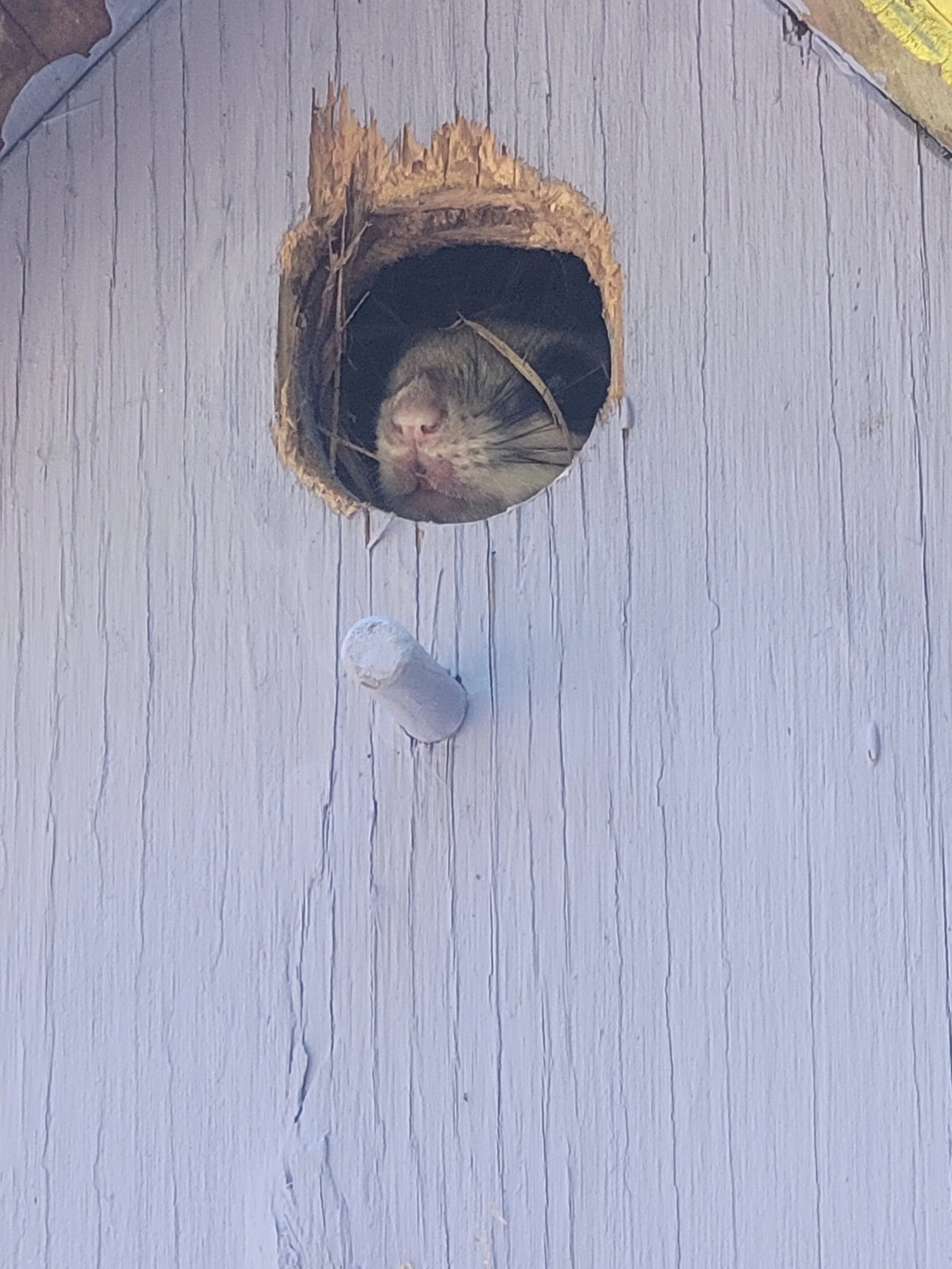 20240902_132750 - S J Murray.jpg