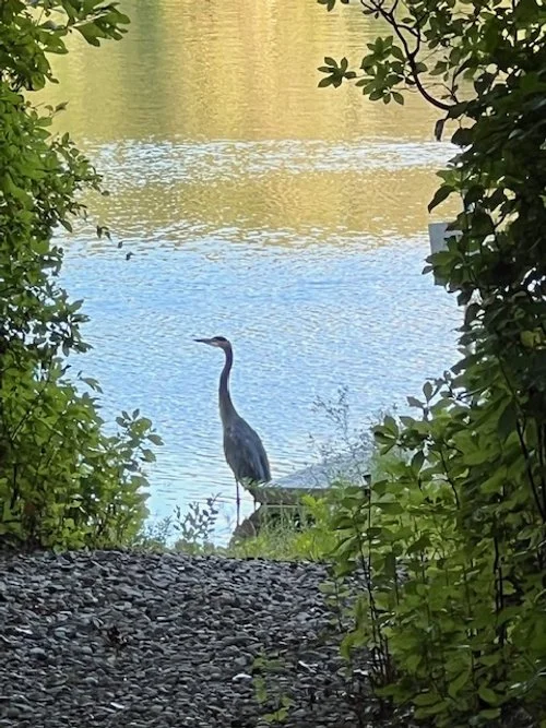 brian clifford 3.jpeg