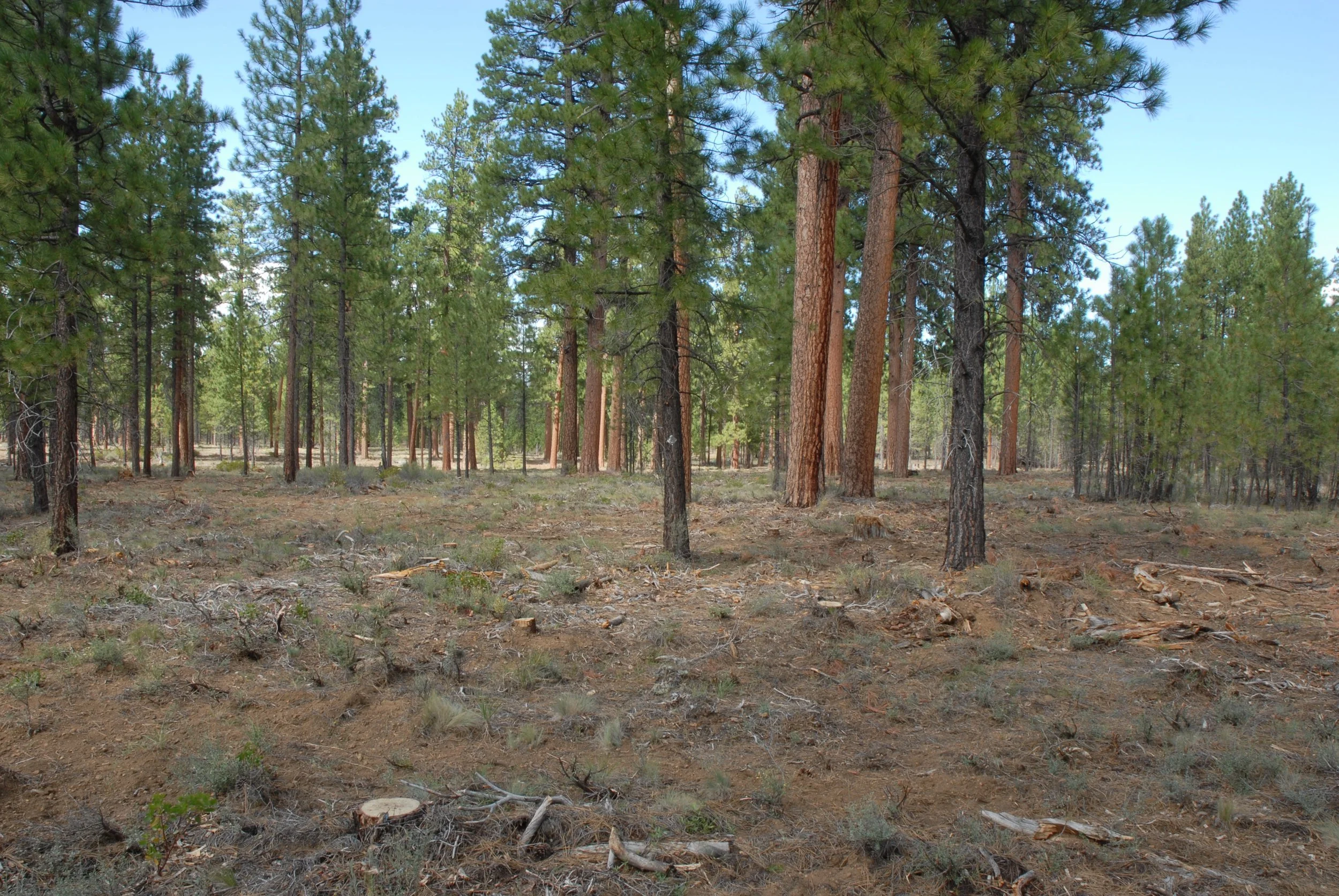 Fuel Reduction and Mitigation