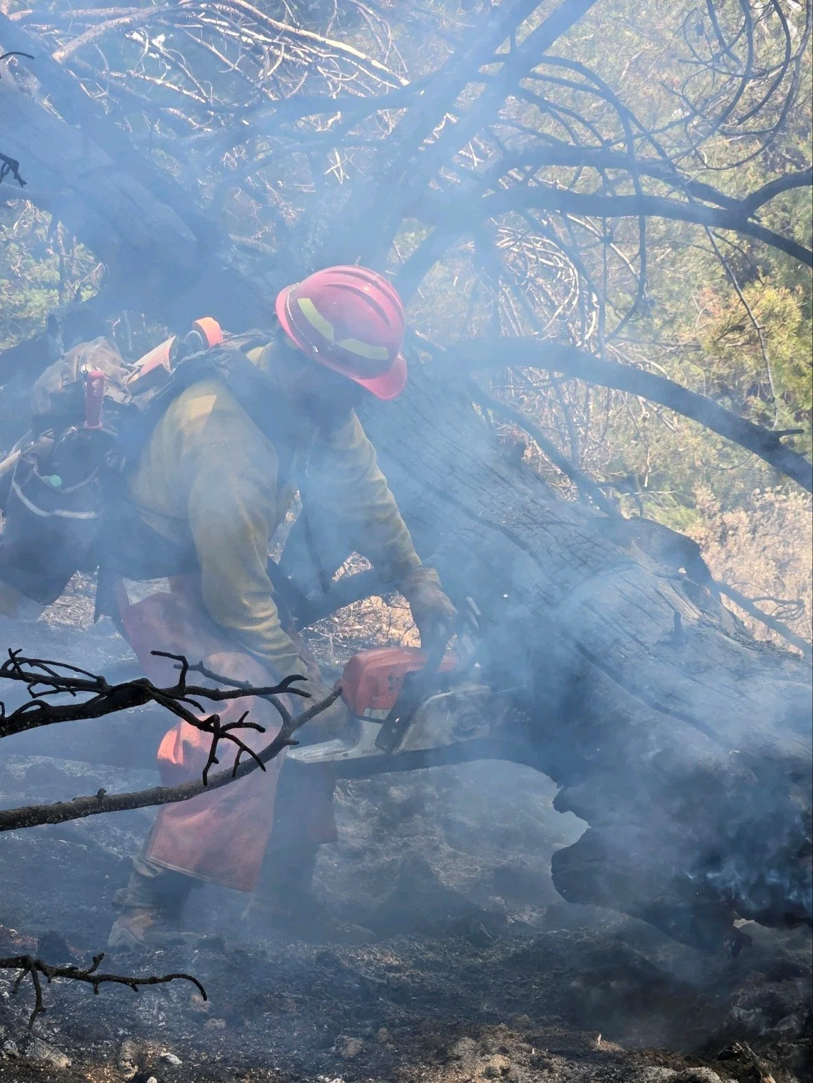 Controlled Burns and Pile Burns