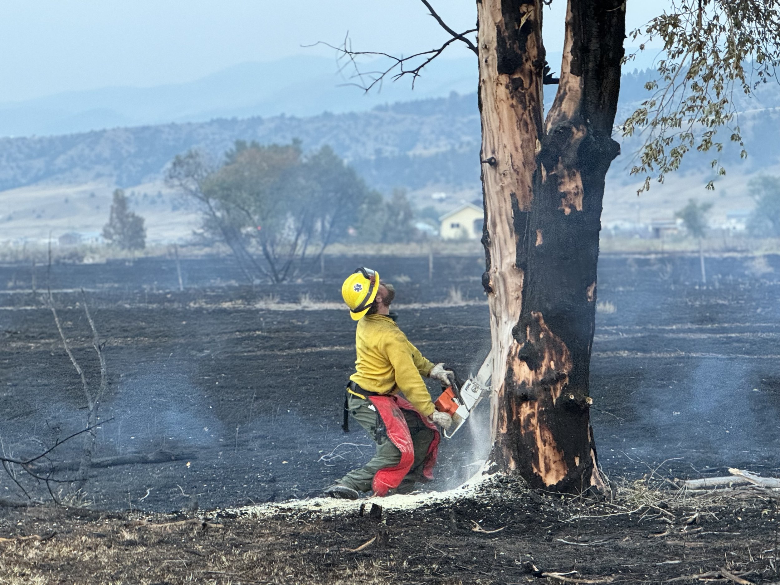 Post Wild Fire Property Cleanup.