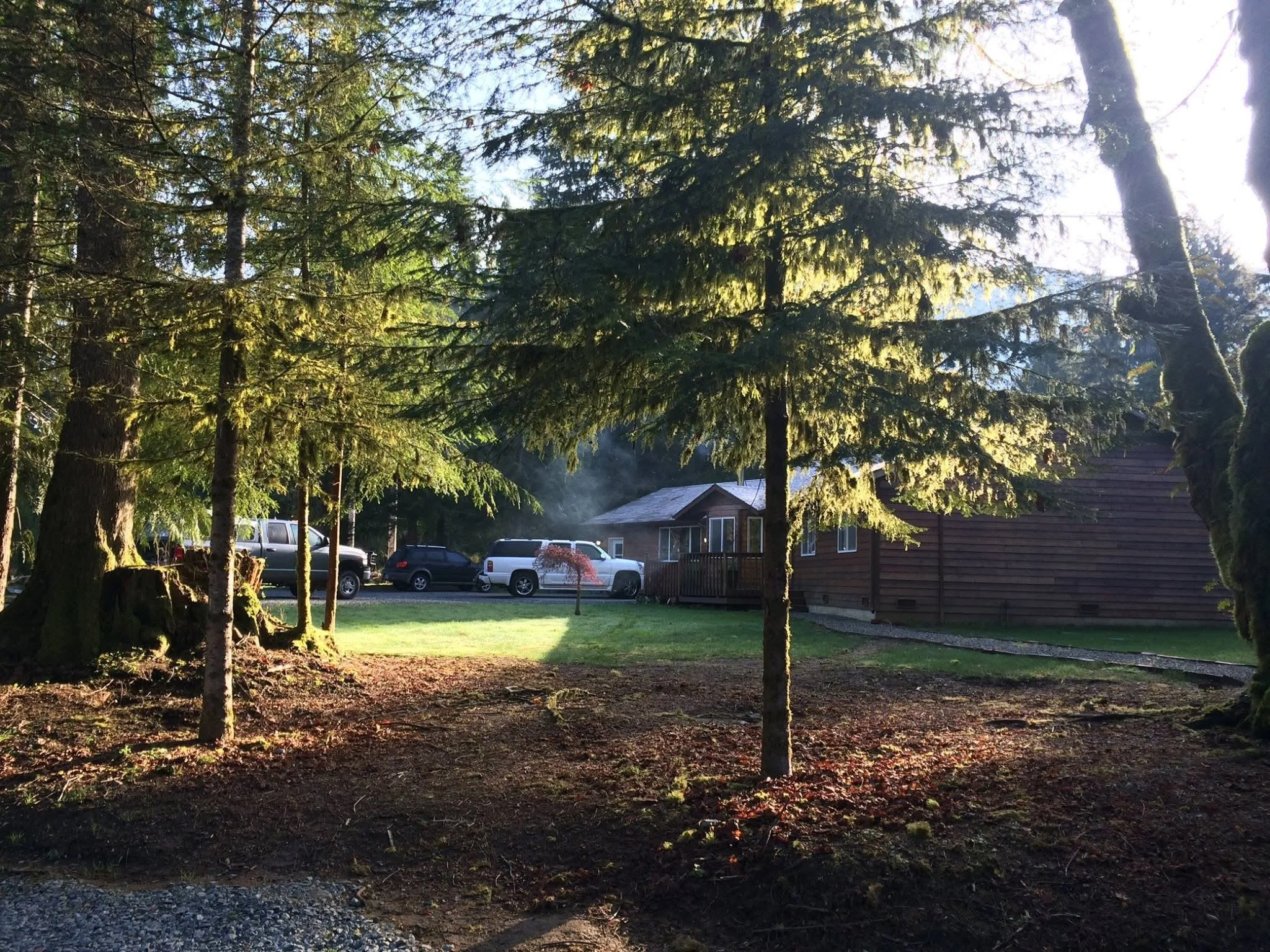 Property assessments, Consultation, and DIY Plans