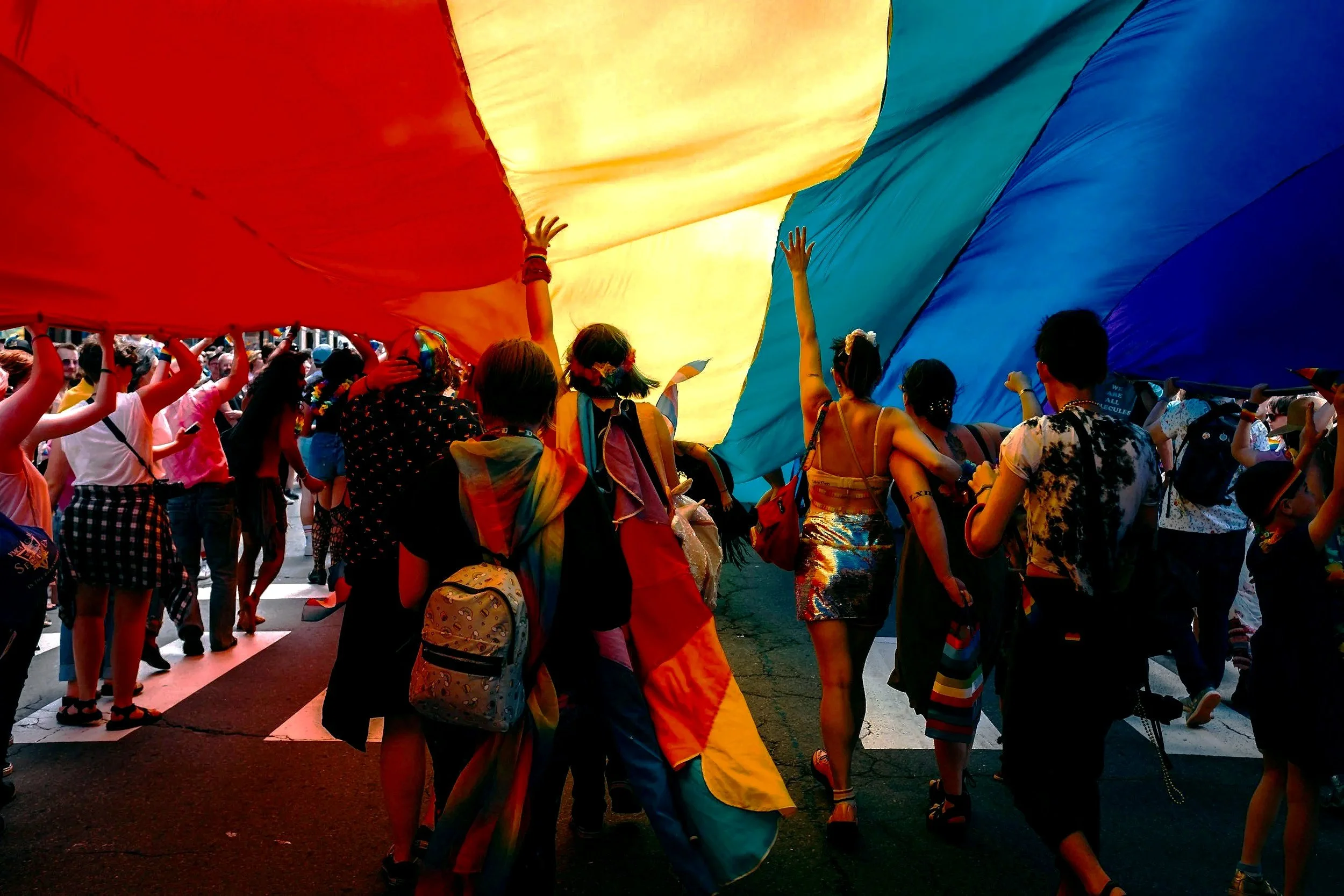 Liberty, equality, fraternity, &amp; pride