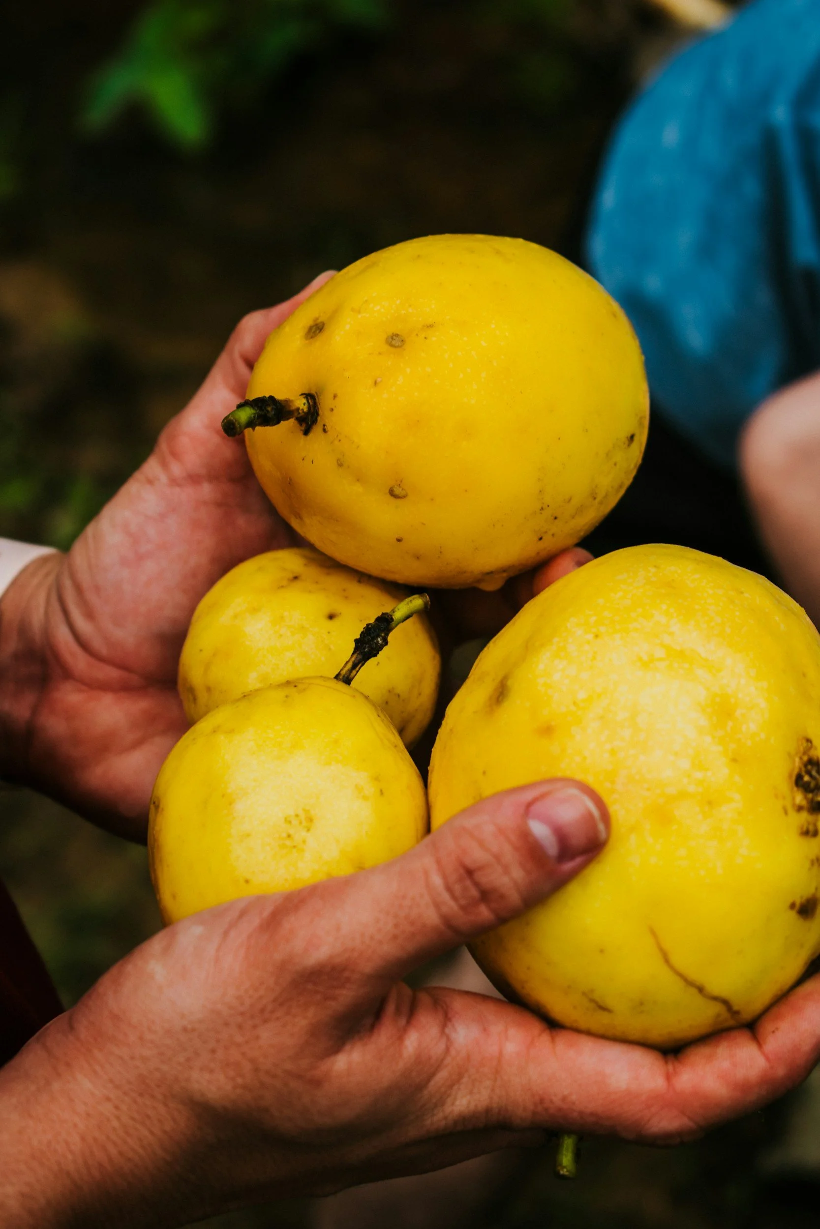 Passion Fruit Fruit Salad Recipe: Easy, Healthy &amp; Refreshing