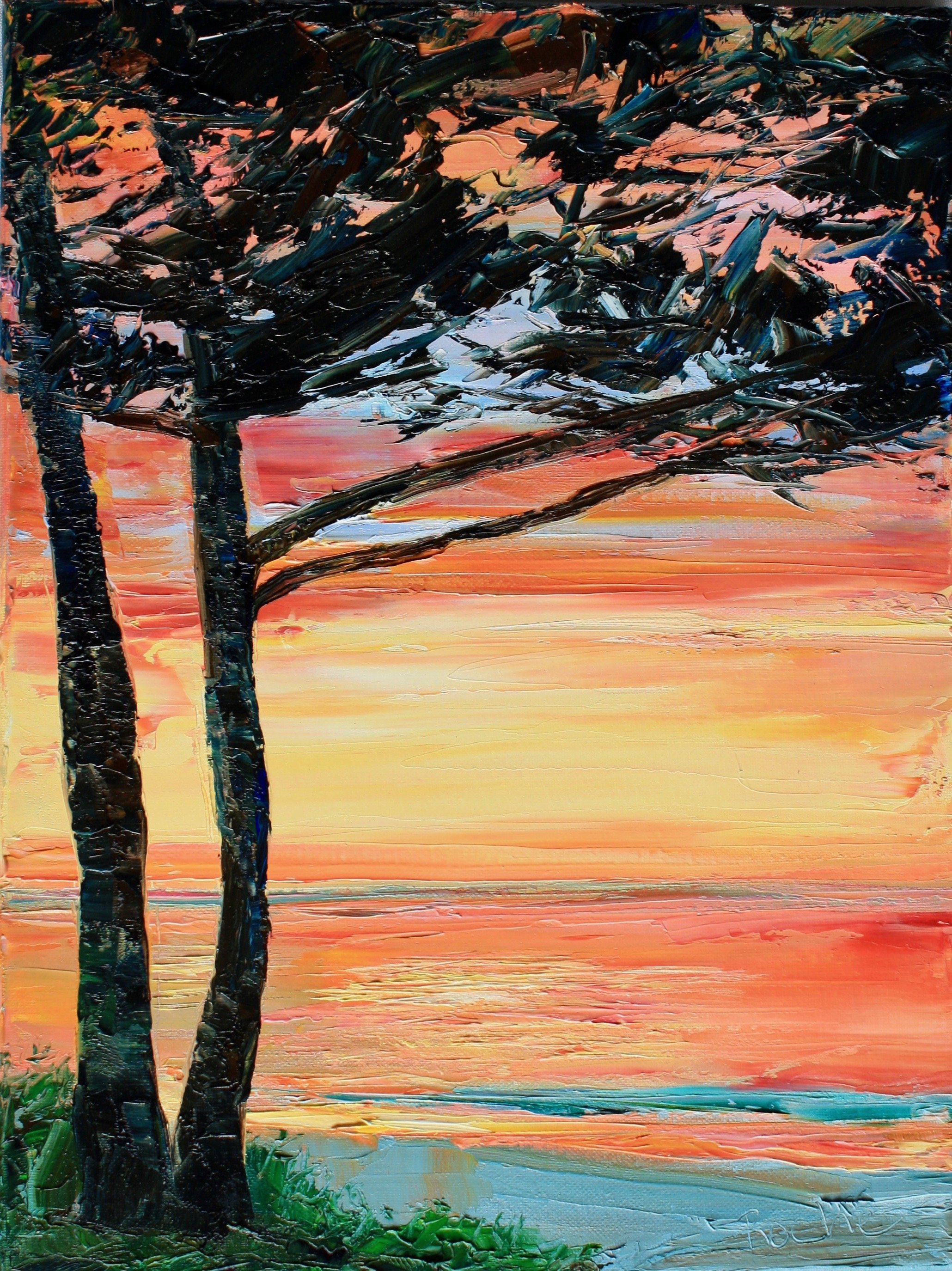Cypress Sunset