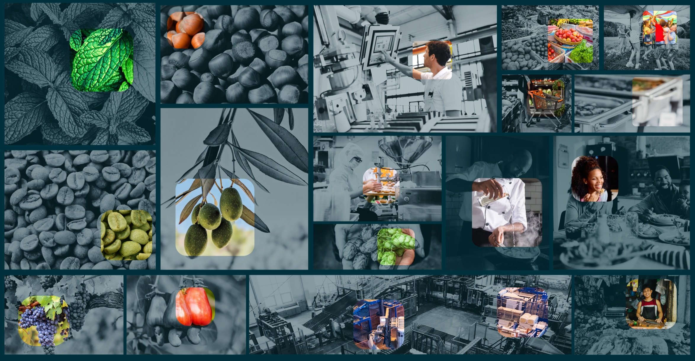 Nextract Technology — SCO2