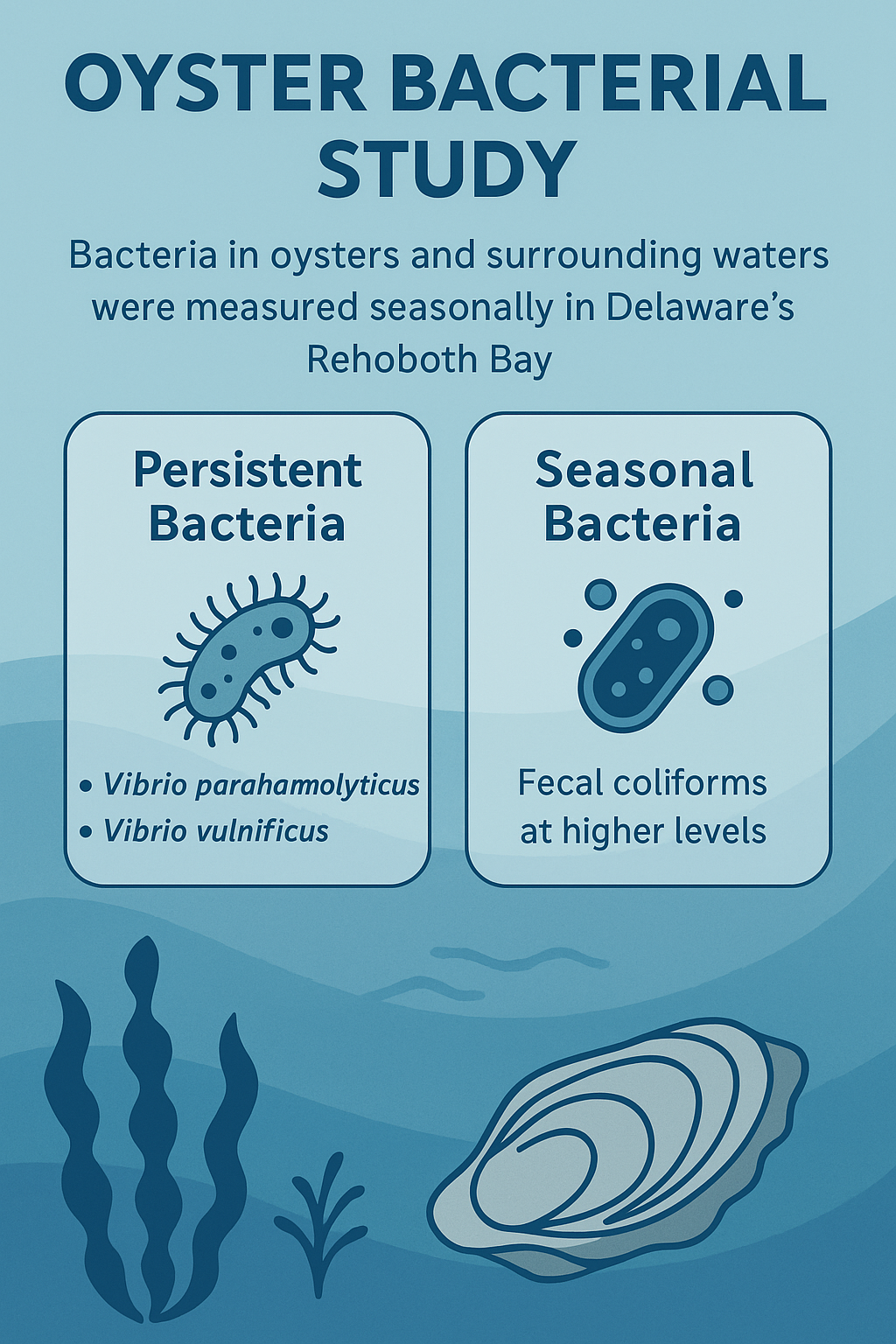 Oysters, Bacteria, and Bay Waters: What a New Delaware Study Reveals