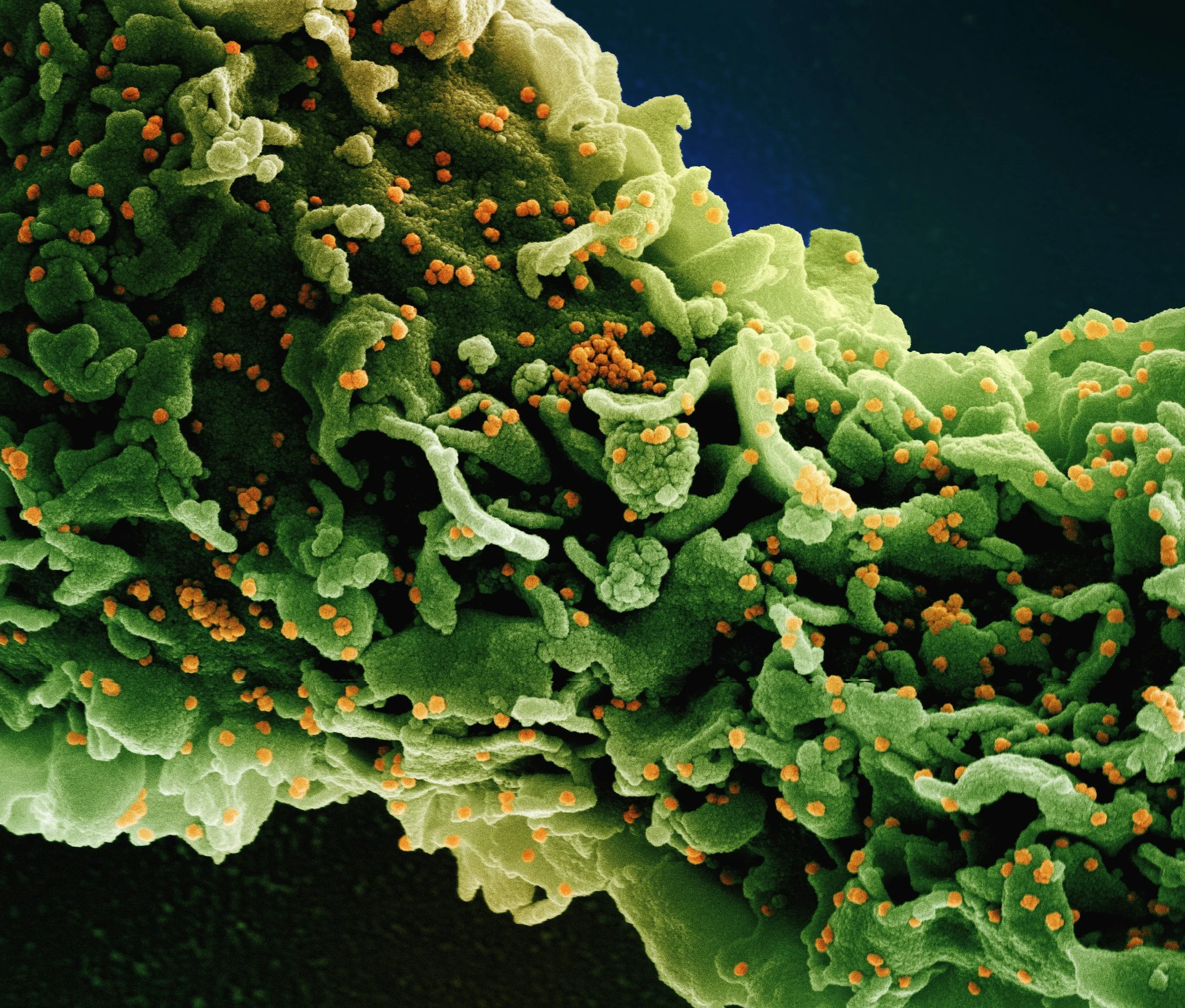 The Delaware Microbiome: Mapping the Invisible Networks Beneath Our Feet and Shores