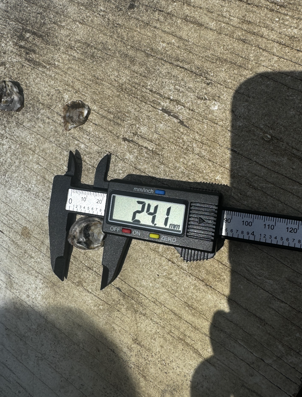 Screenshot 2025-08-11 at 8.40.34 PM.png