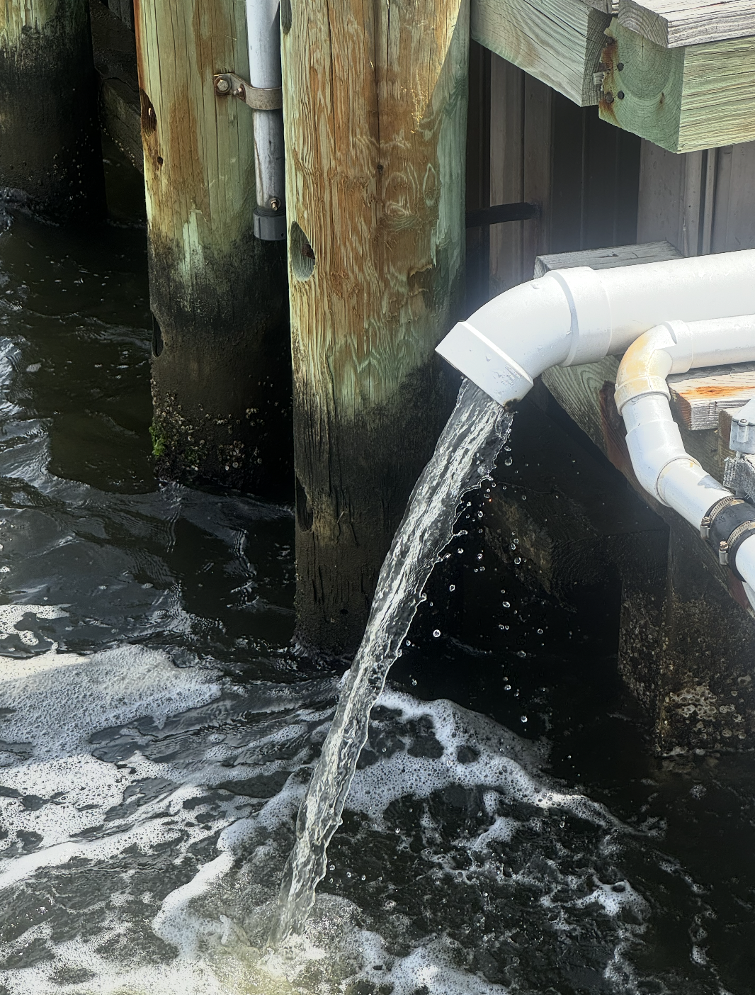 Screenshot 2025-08-11 at 8.40.26 PM.png