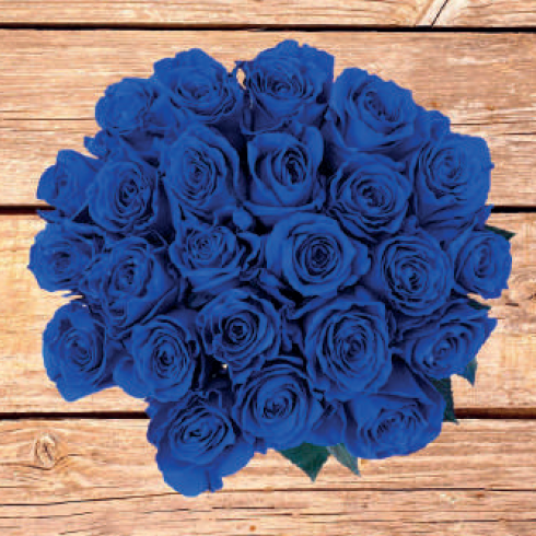 Blue Tinted Rose