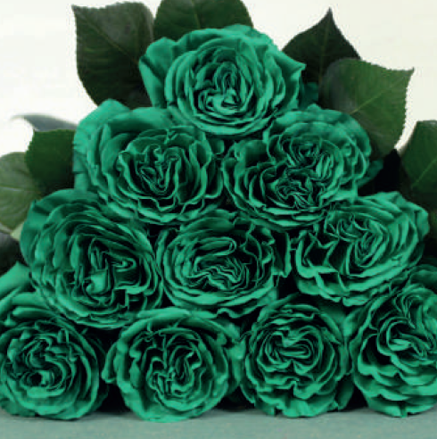 Green Tinted Rose