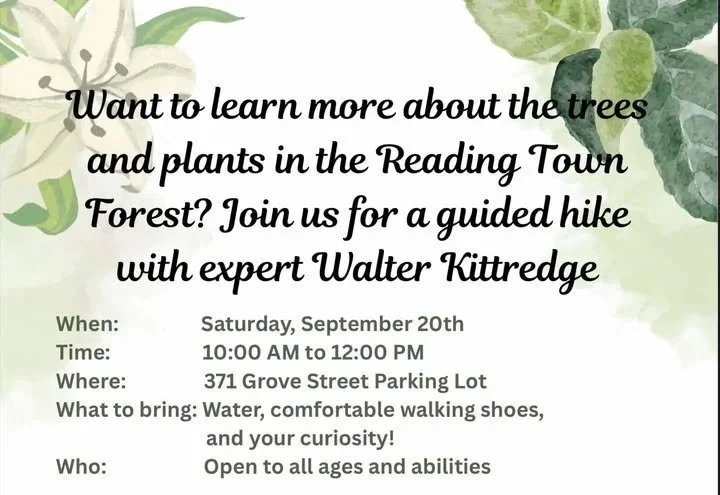 Plant Identification Walk in the Reading Town Forest