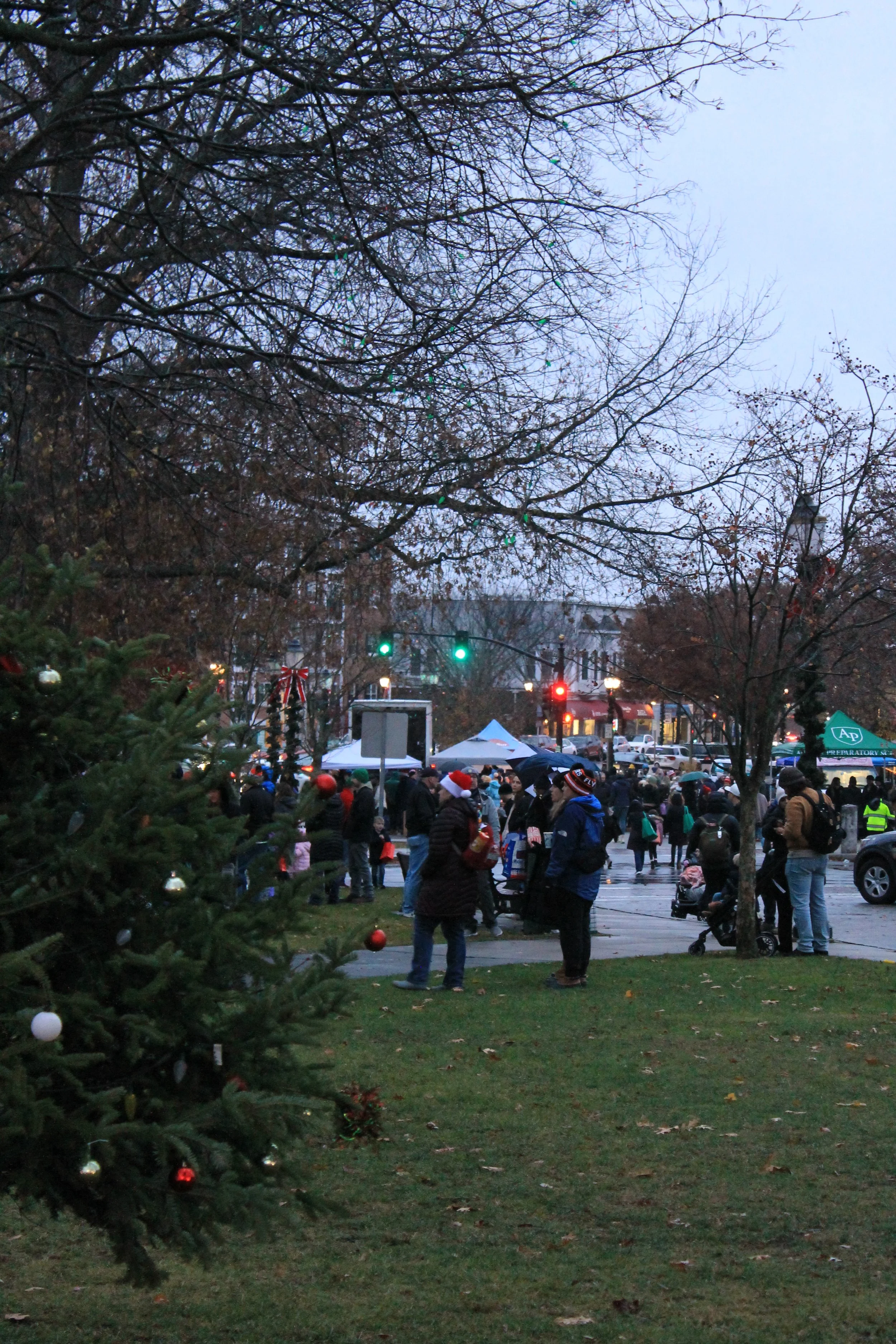 Crowds gathering for the Tree Lighting Ceremony on the Town Common.