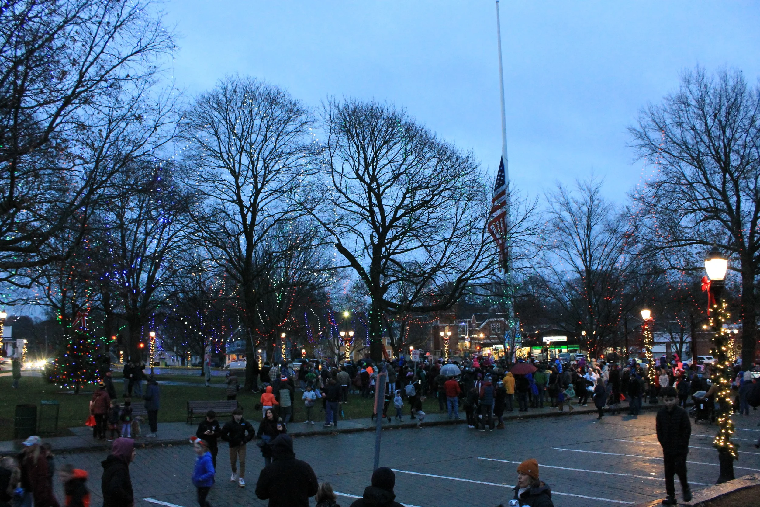 Crowd gathered for the Tree Lighting Ceremony on the Town Common.