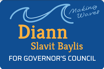 Diann Slavit Baylis Announces Candidacy for Governor’s Council