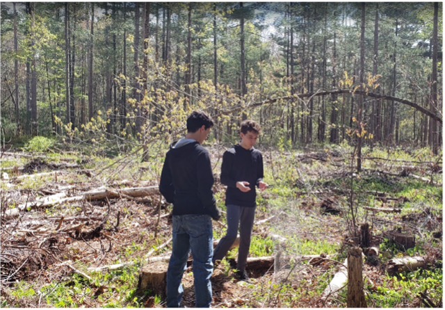 Reading Town Forest Planting Project completed by Thomas Cockrell.