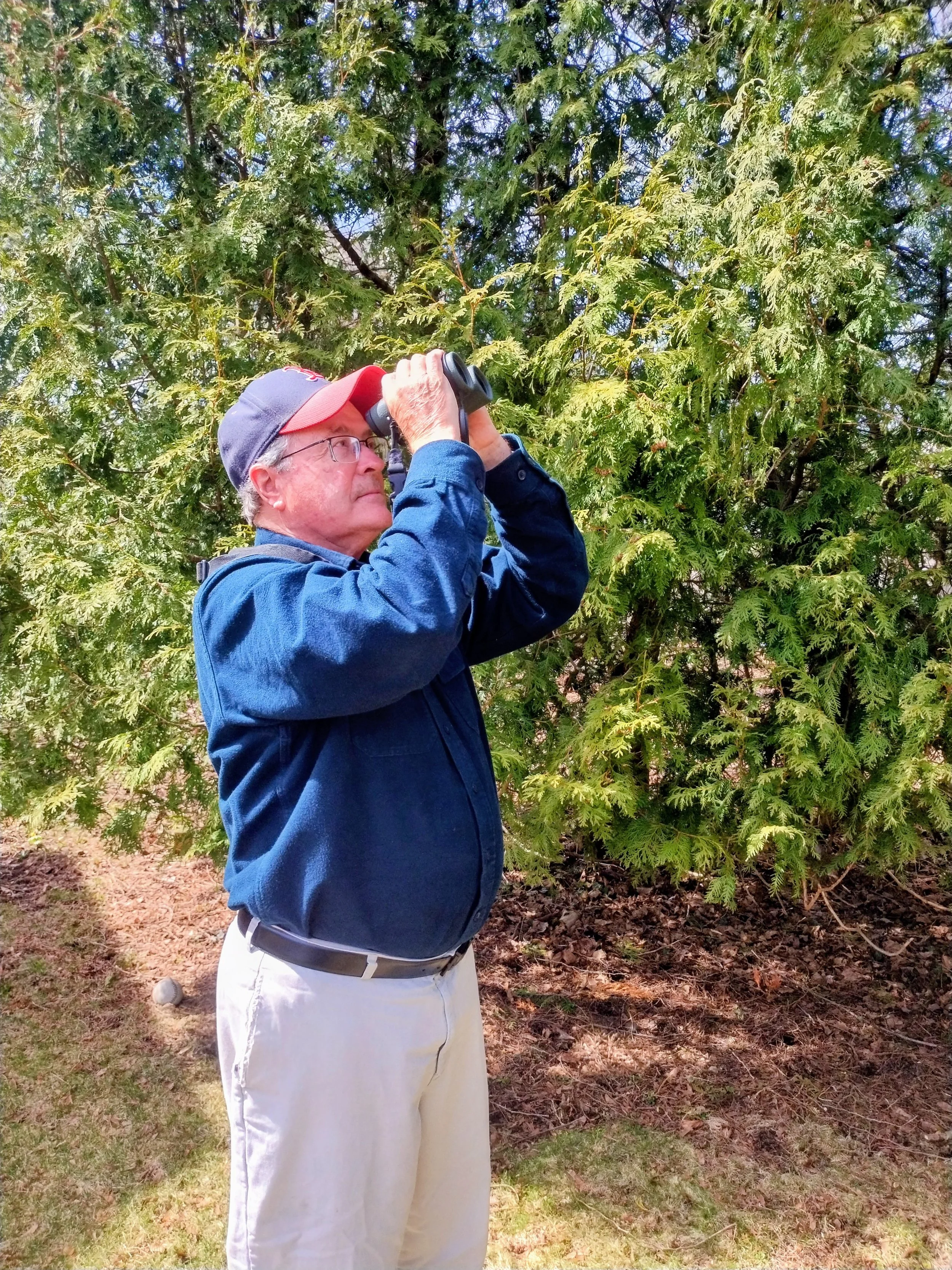 Whitelam Books to Host Reading Resident Dave Williams to Share Birding Expertise