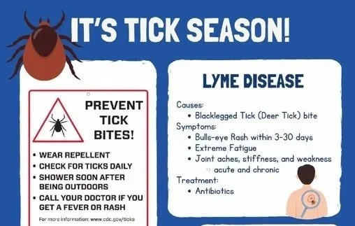 Tick season returns: residents encouraged to take precautions outdoors