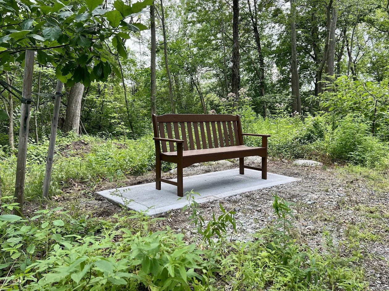 Benches return to Maillet, Sommes, &amp; Morgan Conservation Area