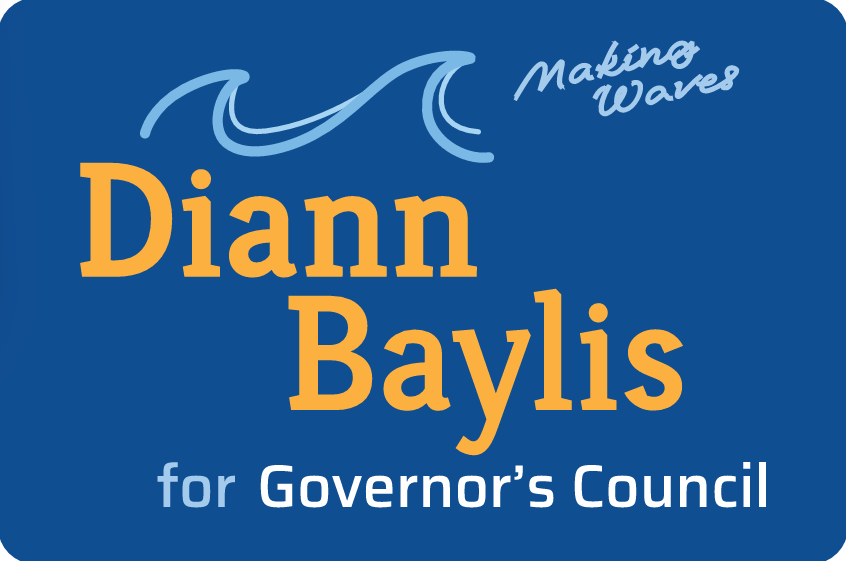 Diann Baylis Endorsed by Somerville Democratic Party for Governor’s Council