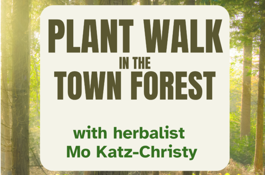 Plant Walk Through the Town Forest