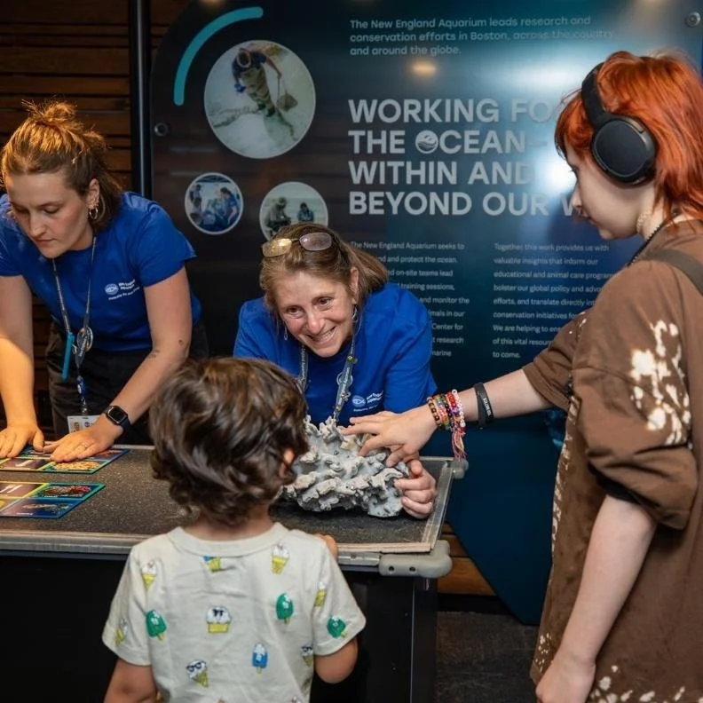 Aquarium offering discounted tickets for homeschooling families