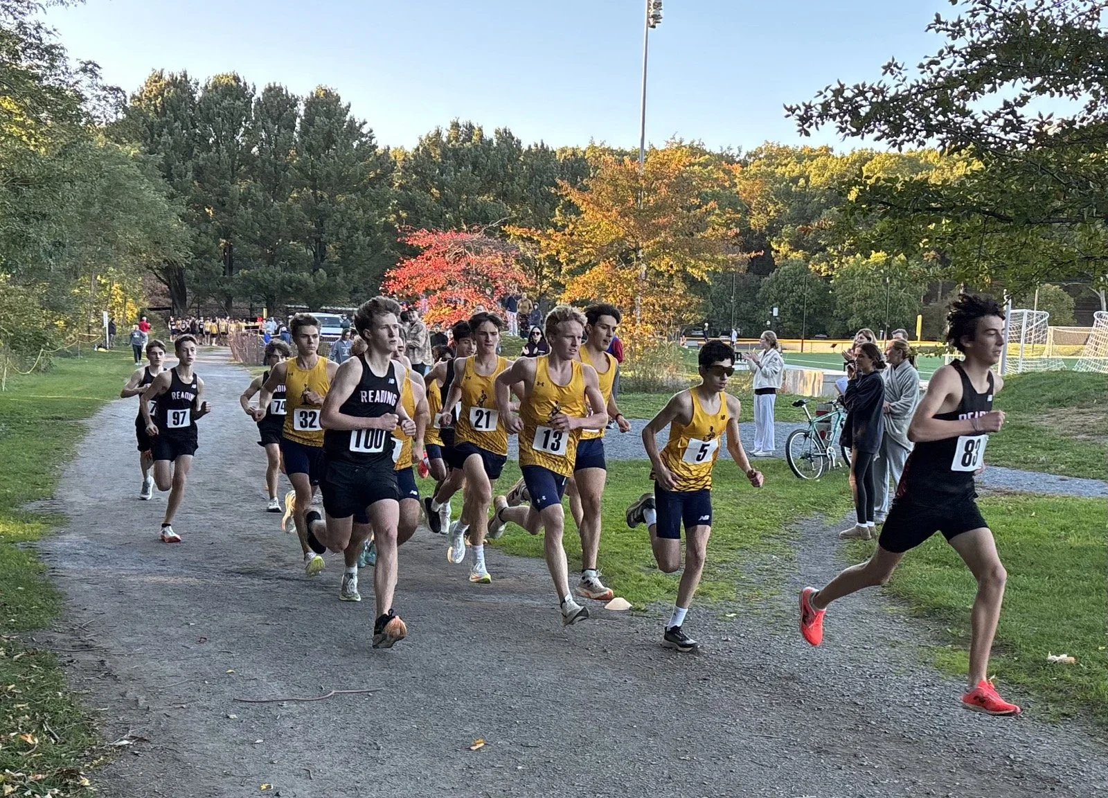 Reading Cross-Country Falls to Lexington