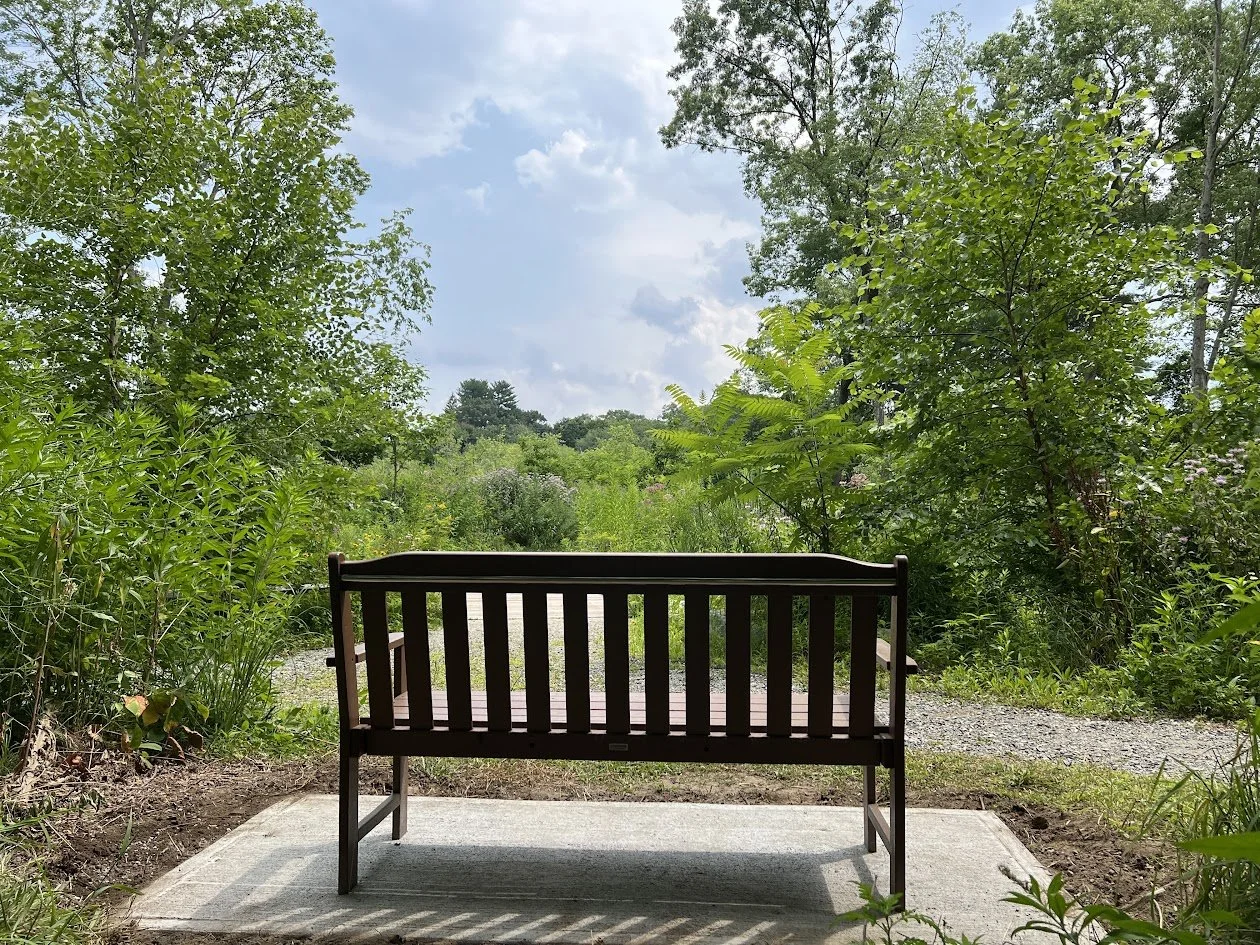View from behind a dark brown bench looking out over a gravel path and a green wetland meadow framed by trees under a cloudy sky.