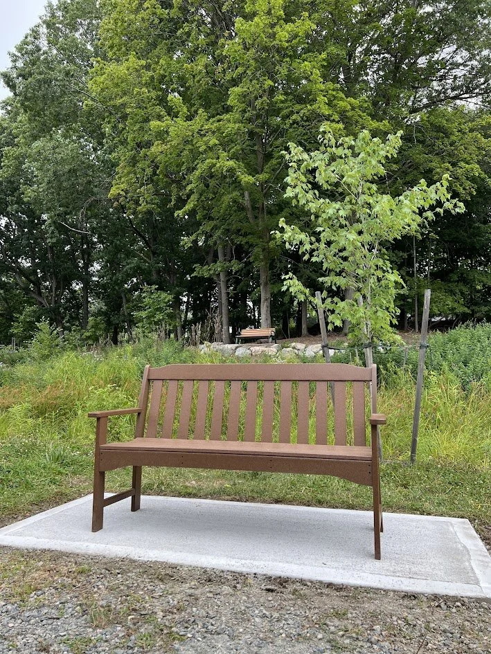 A brown Polywood bench on a concrete pad in the foreground, with a second bench visible on a rise behind it near a young tree.