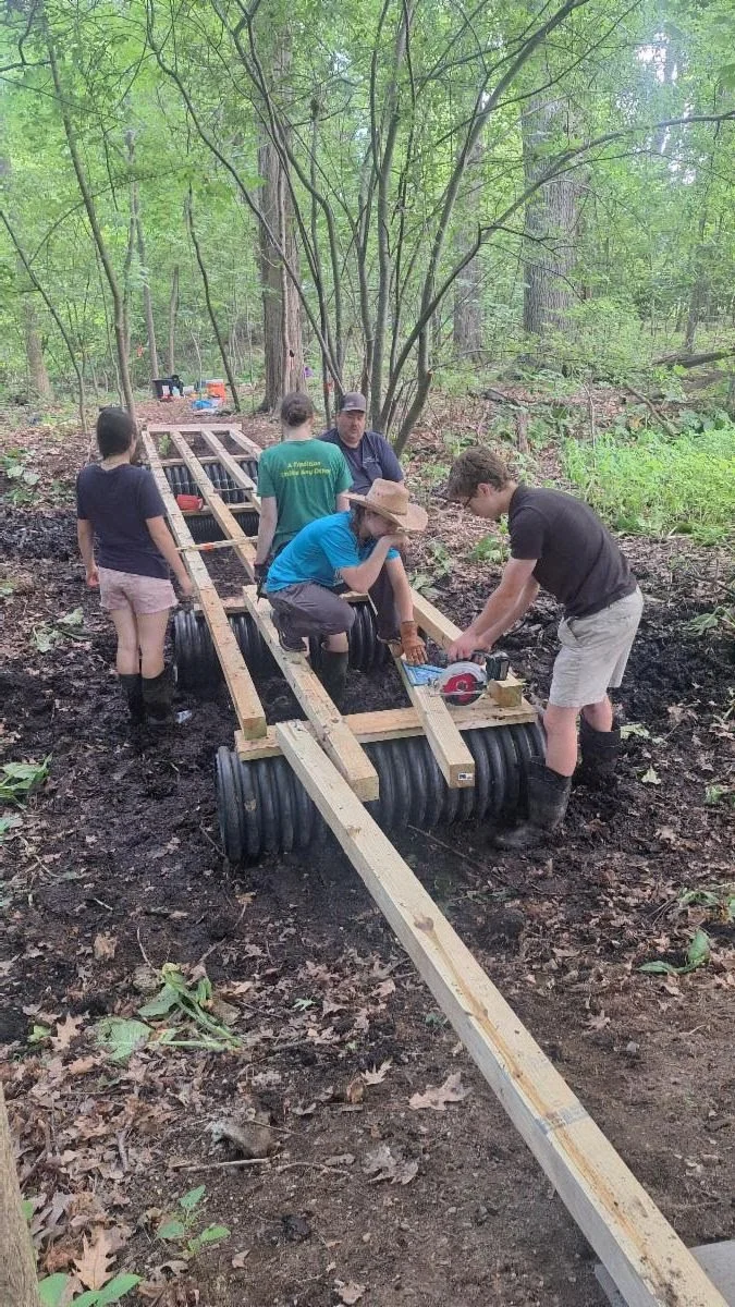 Five volunteers work together to assemble a wooden boardwalk frame over black culvert pipes on a muddy forest trail.