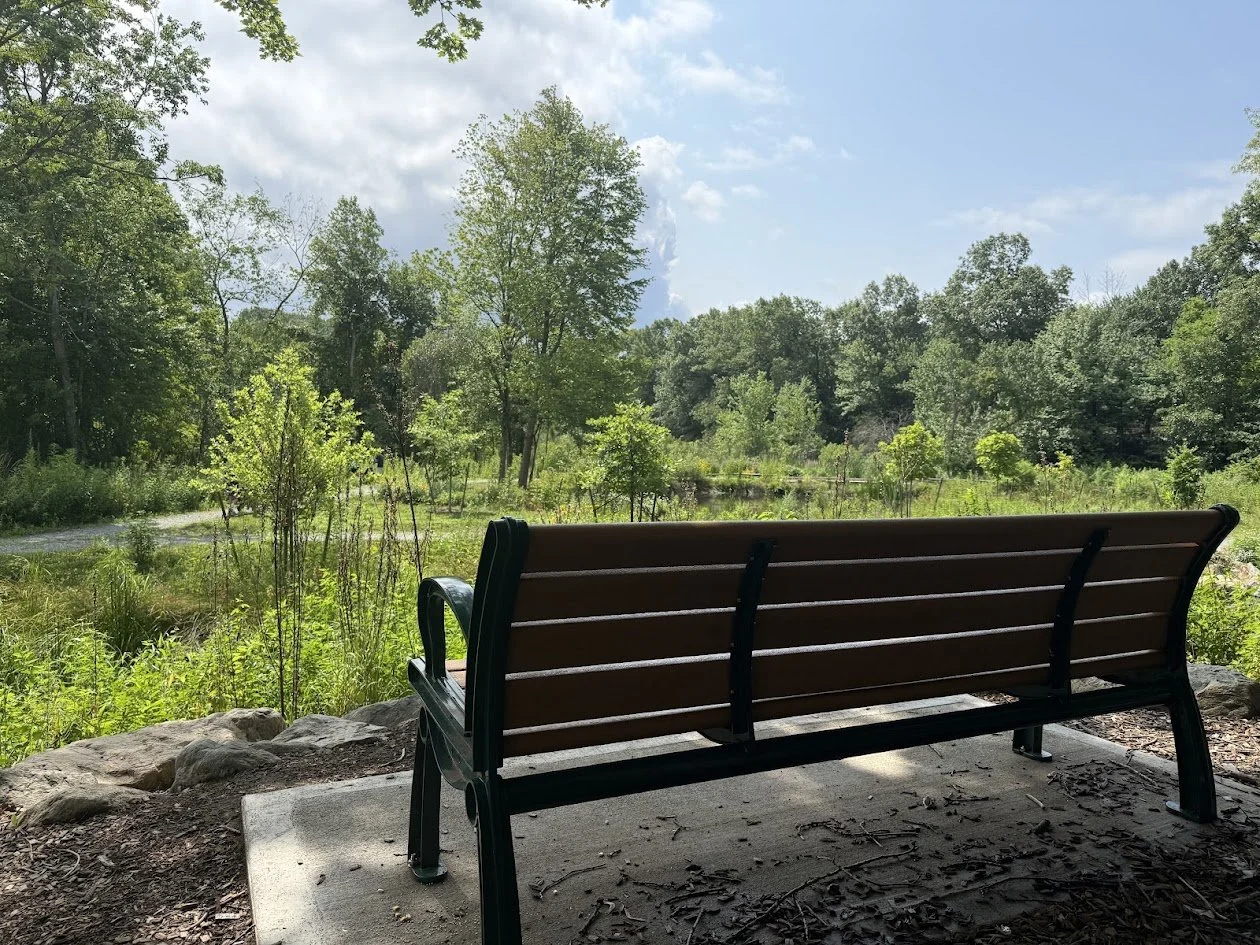 A brown and black slatted bench on a concrete pad, facing a gravel path, wetland pond, and trees.