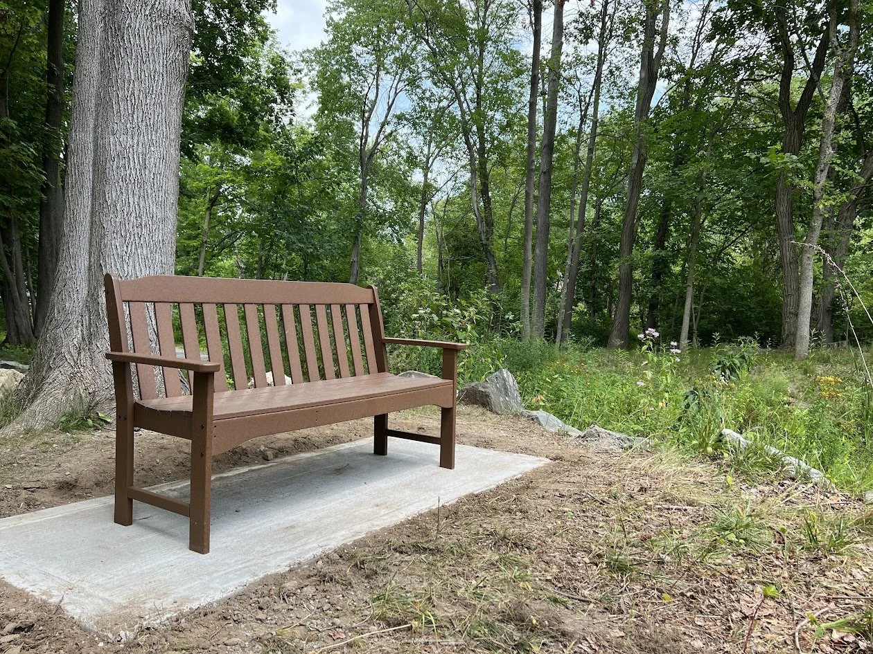 A brown Polywood bench rests on a fresh concrete pad beside a large tree, with woods and scattered wildflowers behind it.