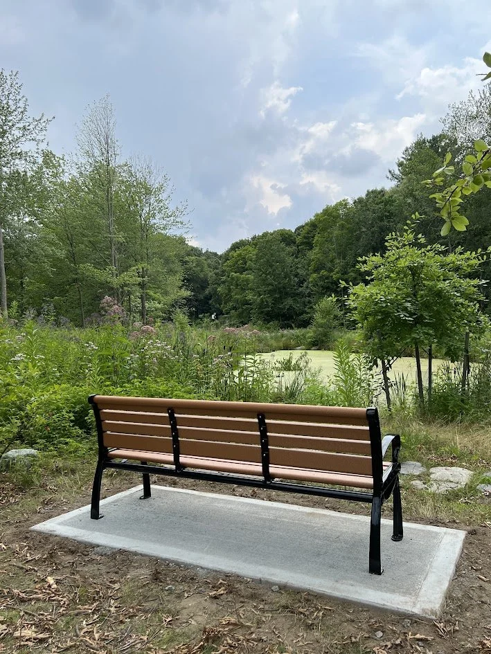 A bench with tan slats and a black metal frame sits on a concrete pad, facing a wildflower meadow, a pond, and wooded hills under a cloudy sky.