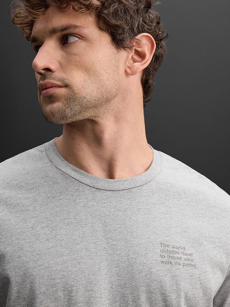 zara-camiseta-grafico-0679:318:803-gris-6.jpg