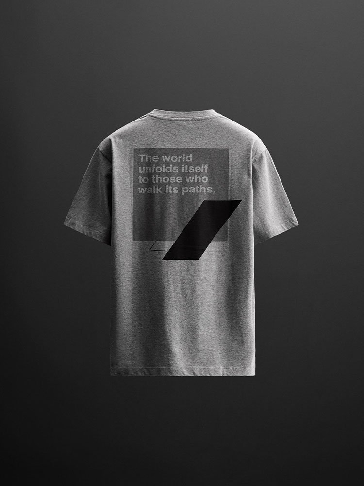 zara-camiseta-grafico-0679:318:803-gris-8.jpg