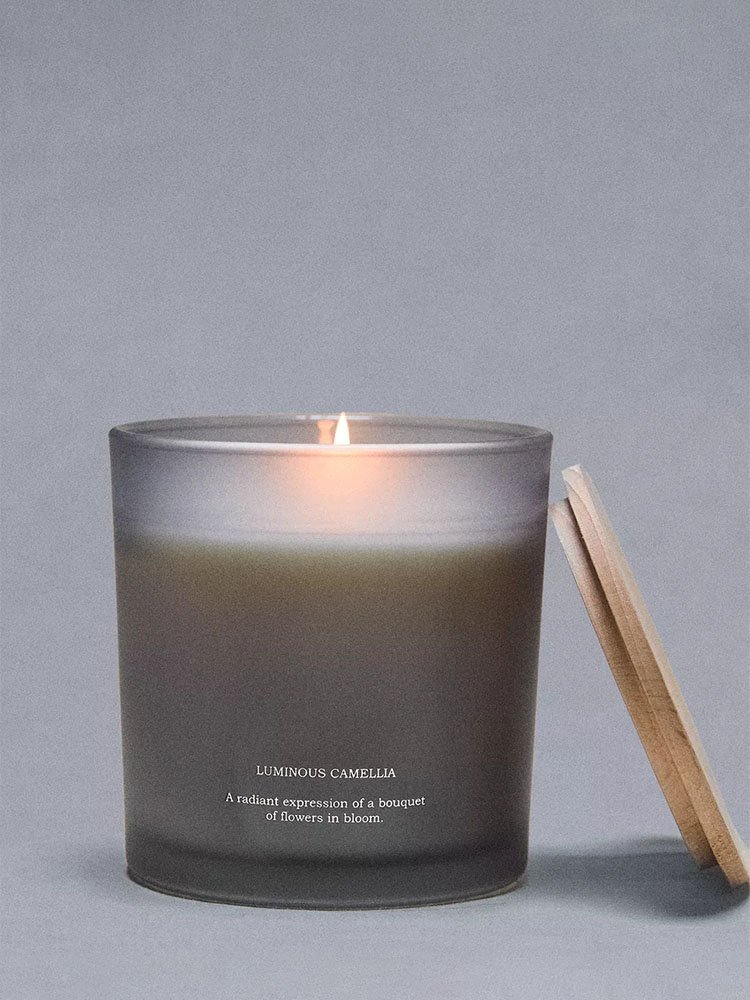 ZARA HOME | LUMINOUS CAMELLIA