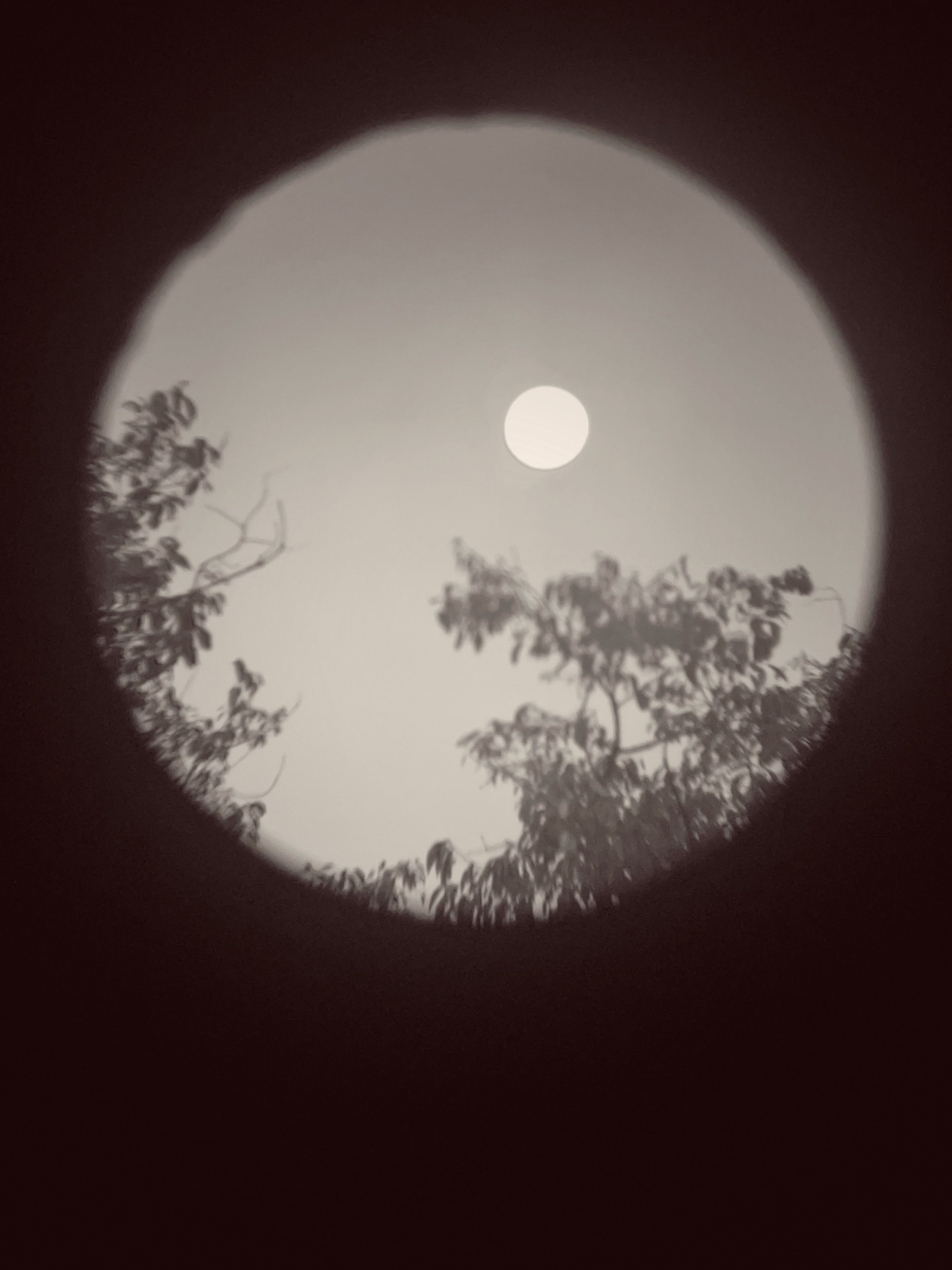 IMG_3265.jpeg