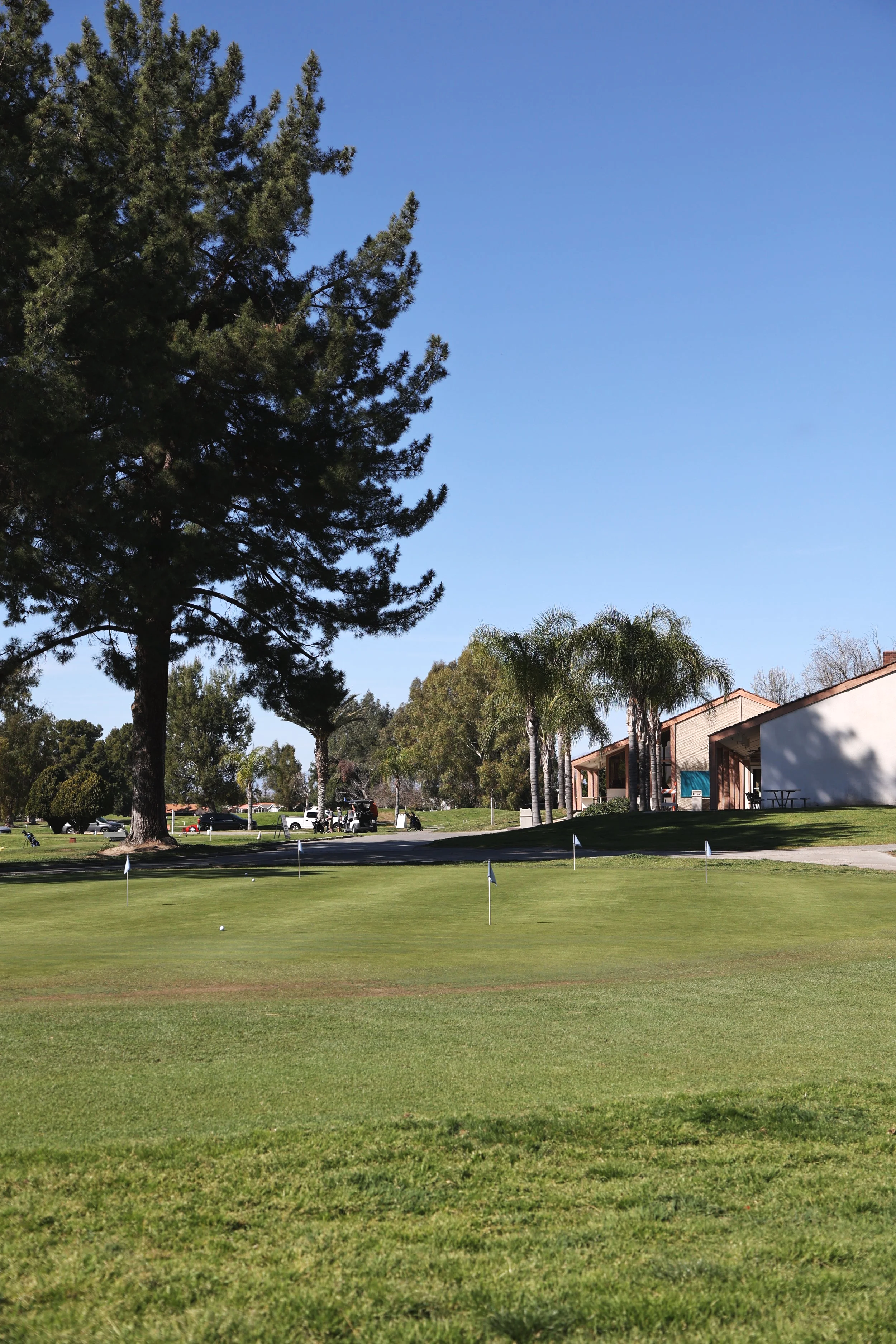 Seven Hills Golf Club practice putting green near the driving range and clubhouse.
