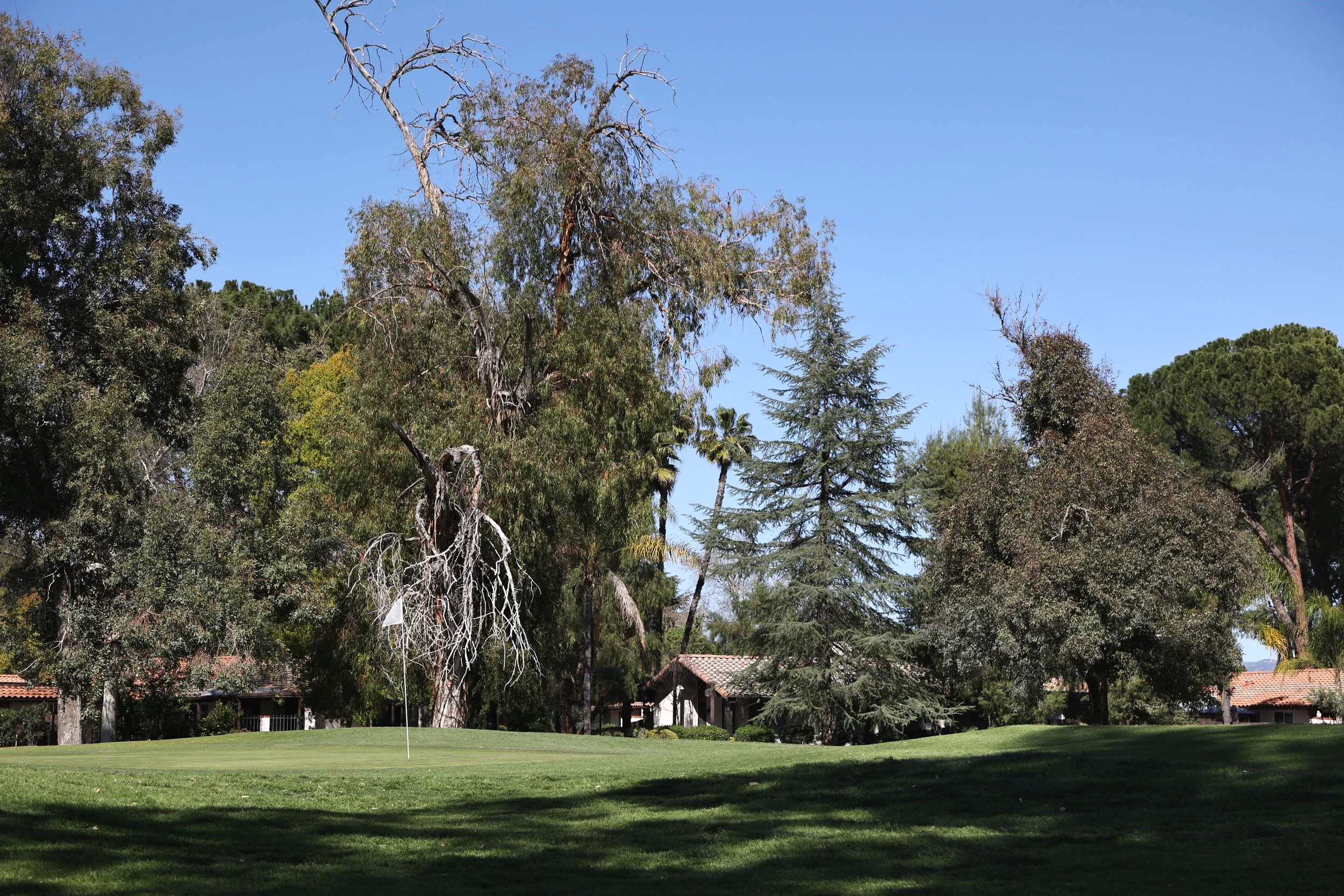 Seven Hills Golf Club putting green with surrounding trees