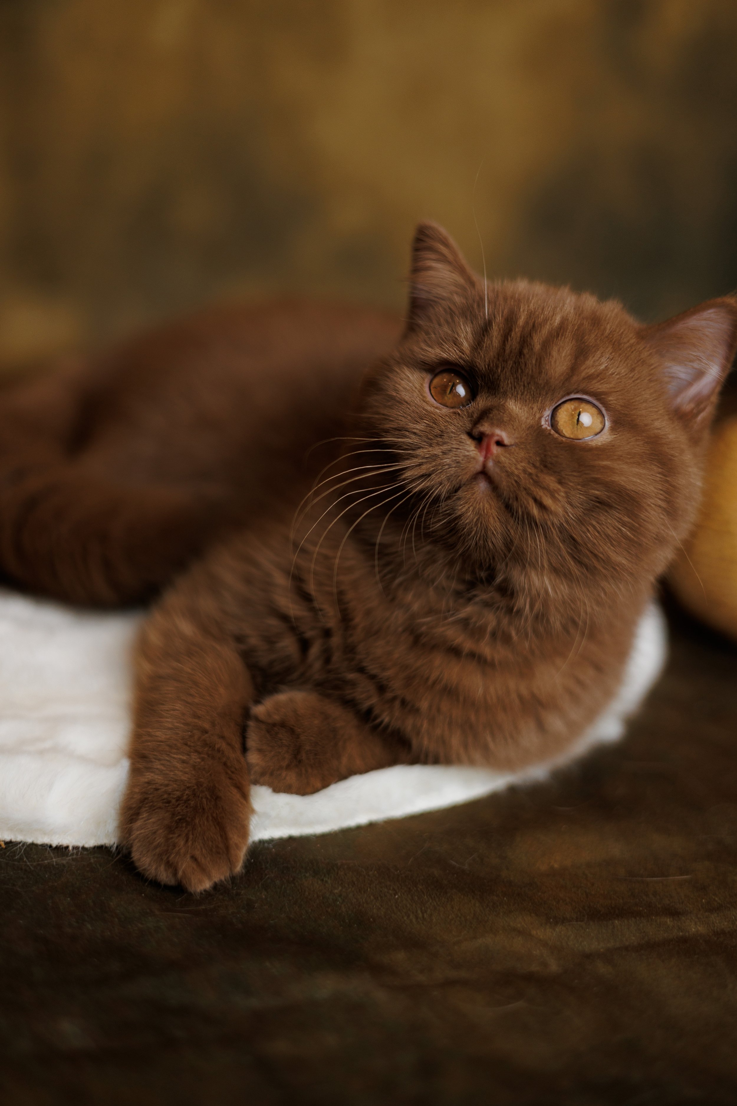 2025-12-21 23_41_58.190+0000.jpg