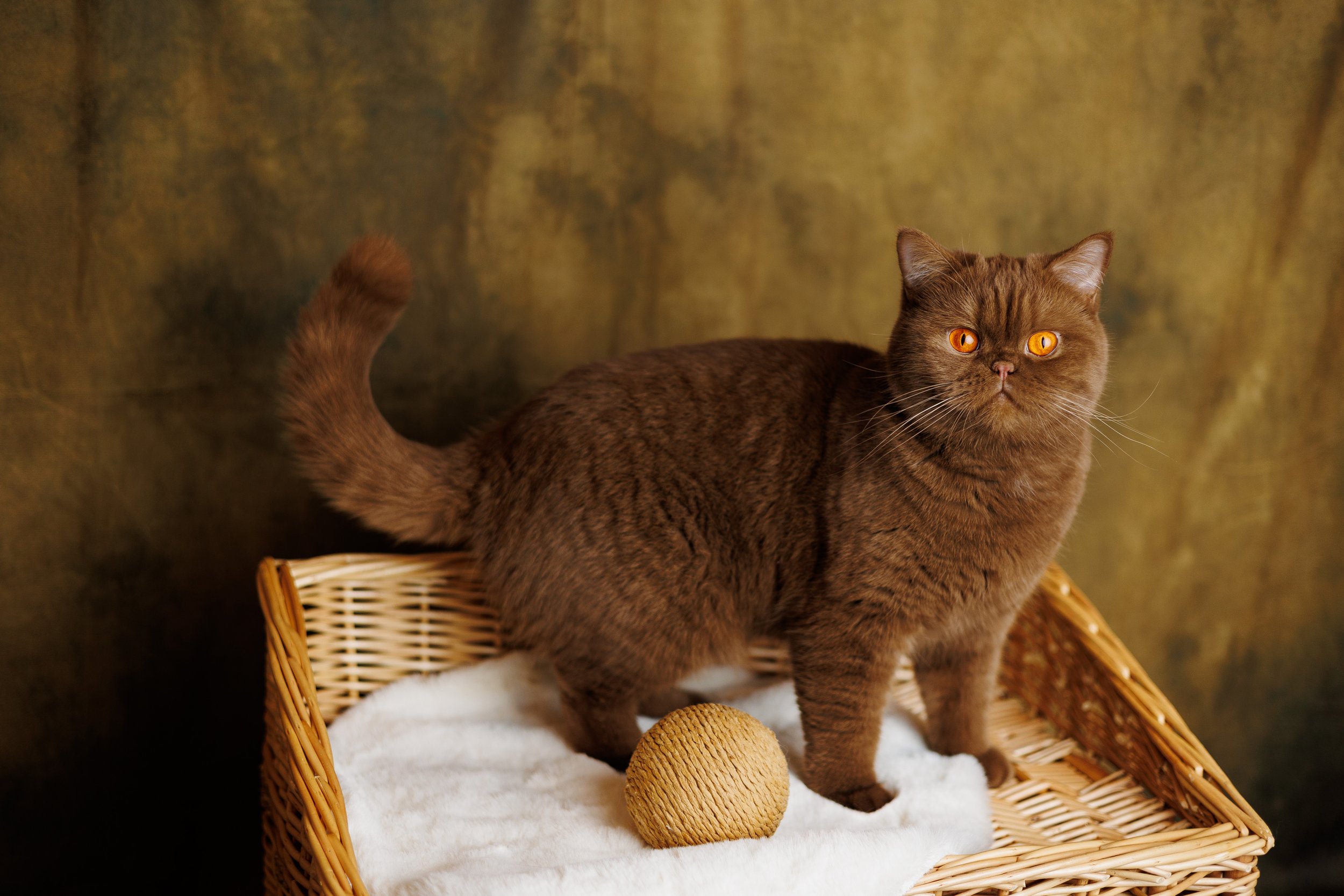 Nataly’s Blossom Summer